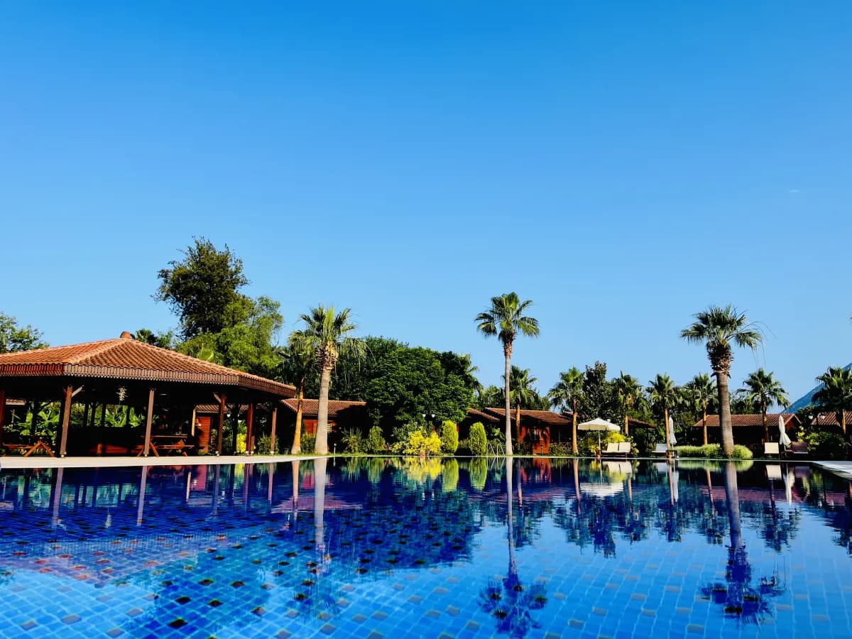 Odile Hotel - photo 6