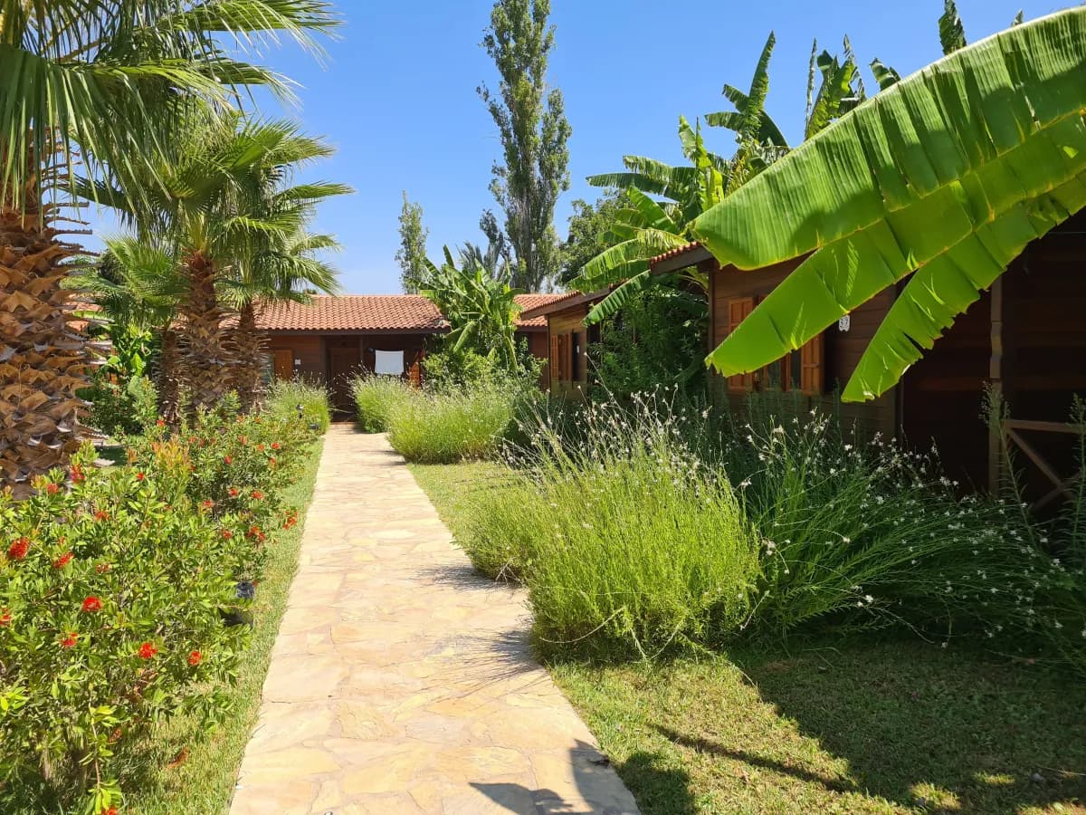 Odile Hotel - photo 7