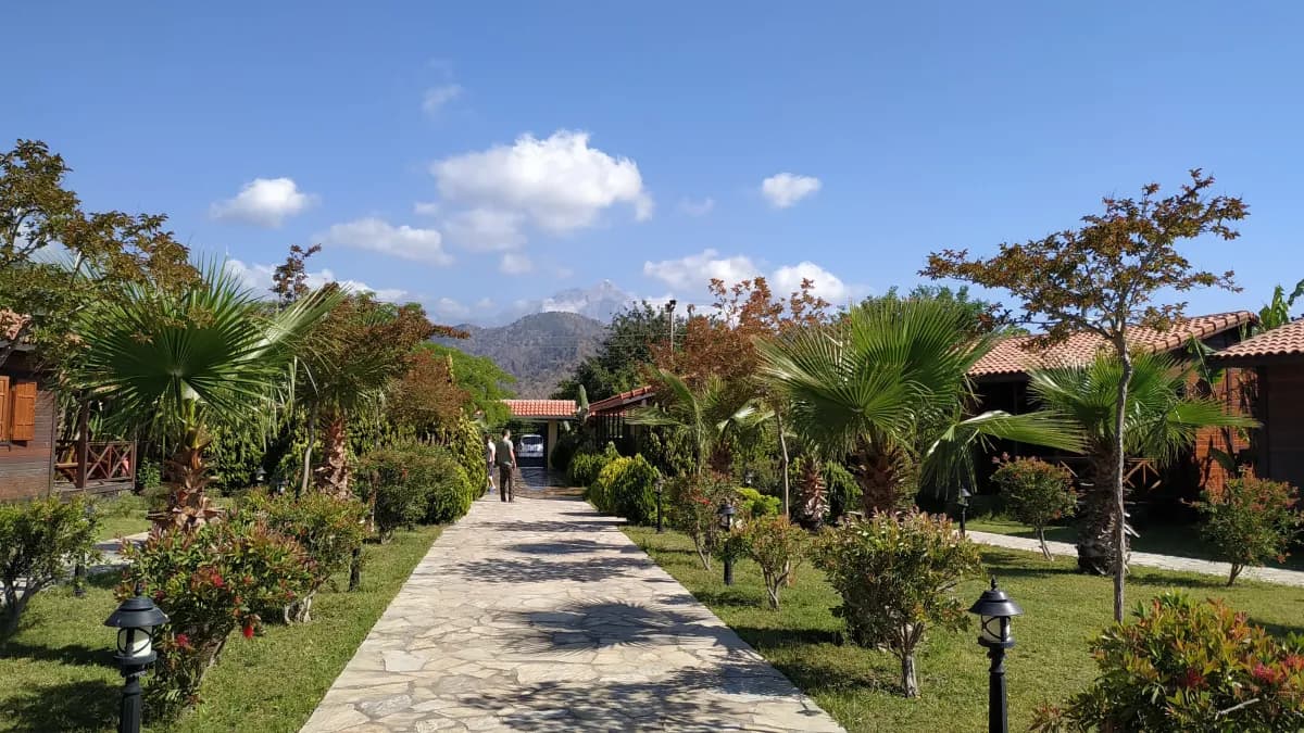 Odile Hotel - photo 9