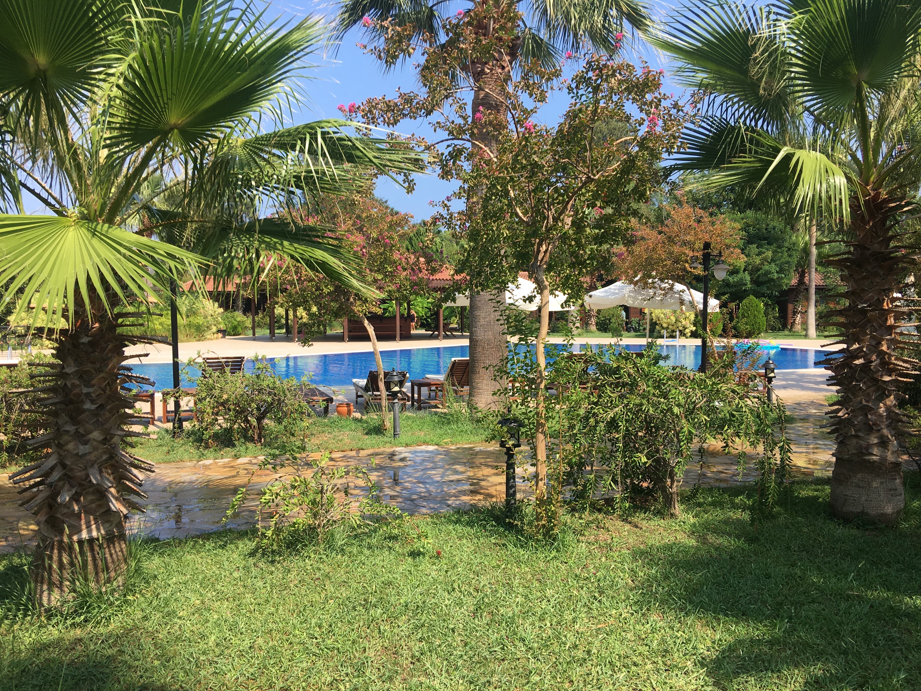 Odile Hotel - photo 10