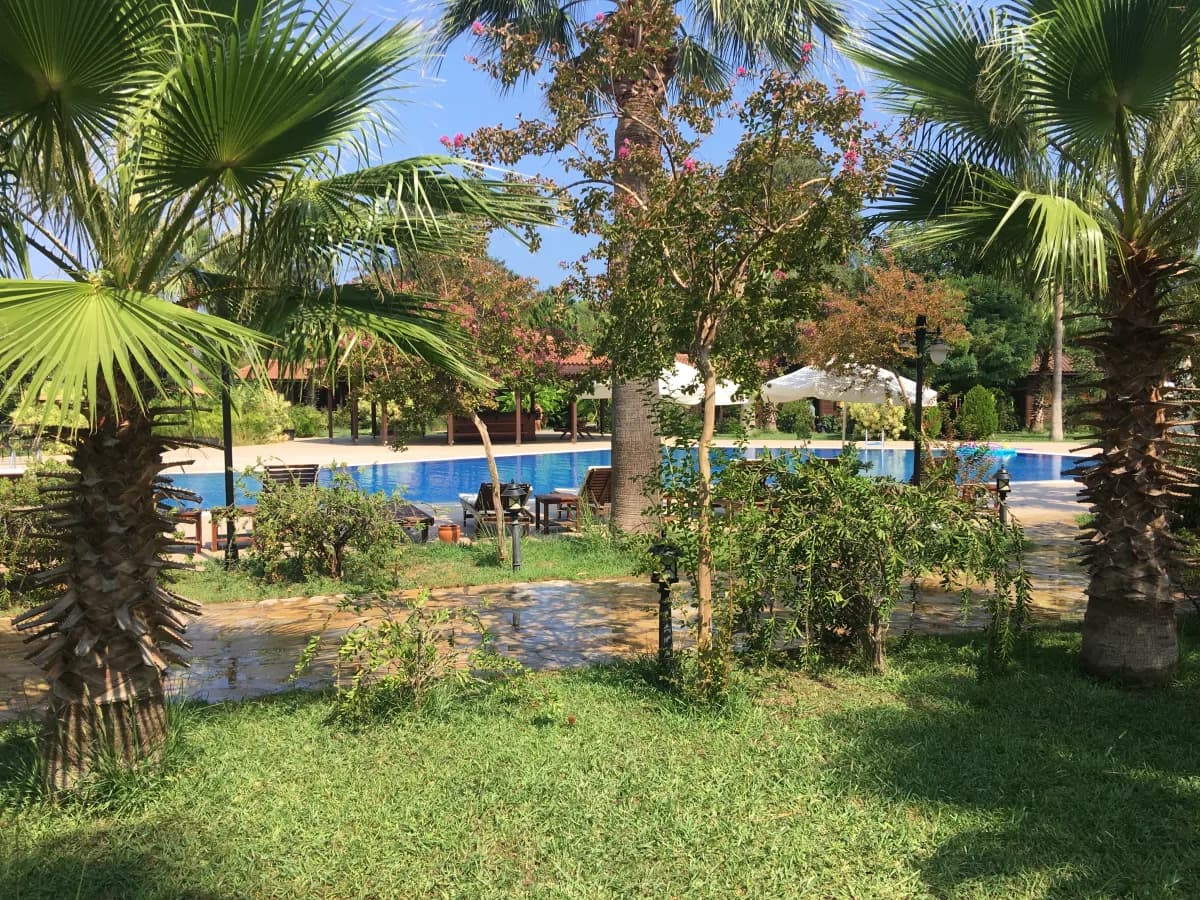 Odile Hotel - photo 10