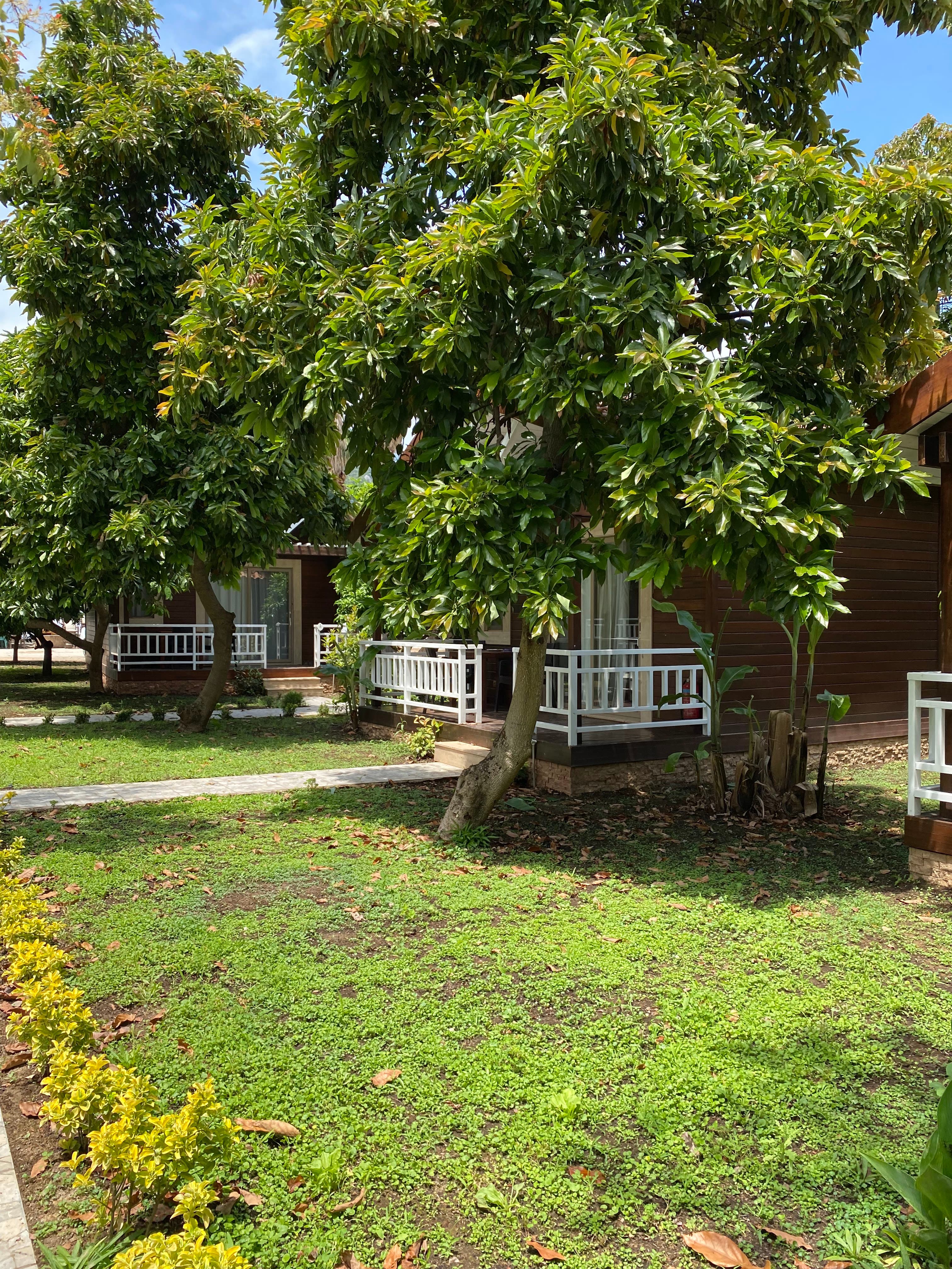 Seven Seasons Hotel - photo 5