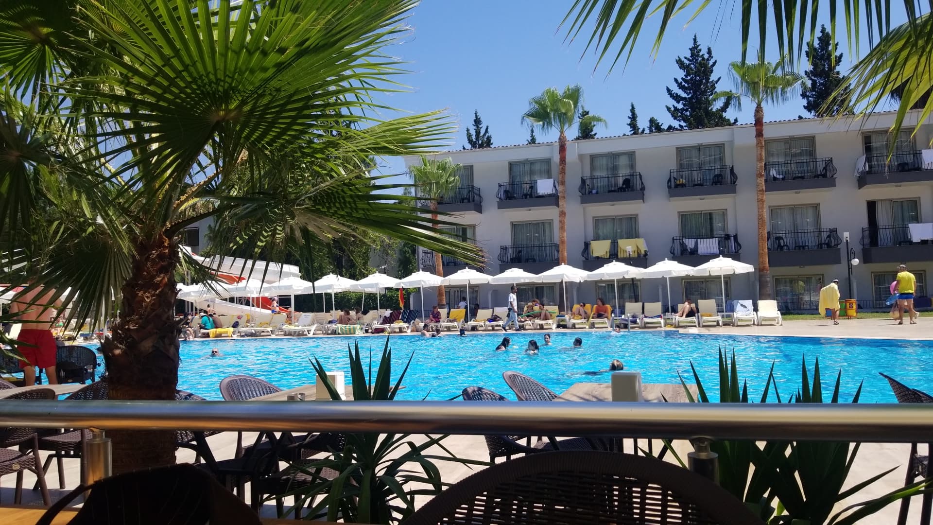 ALDER GARDEN HOTEL - photo 10