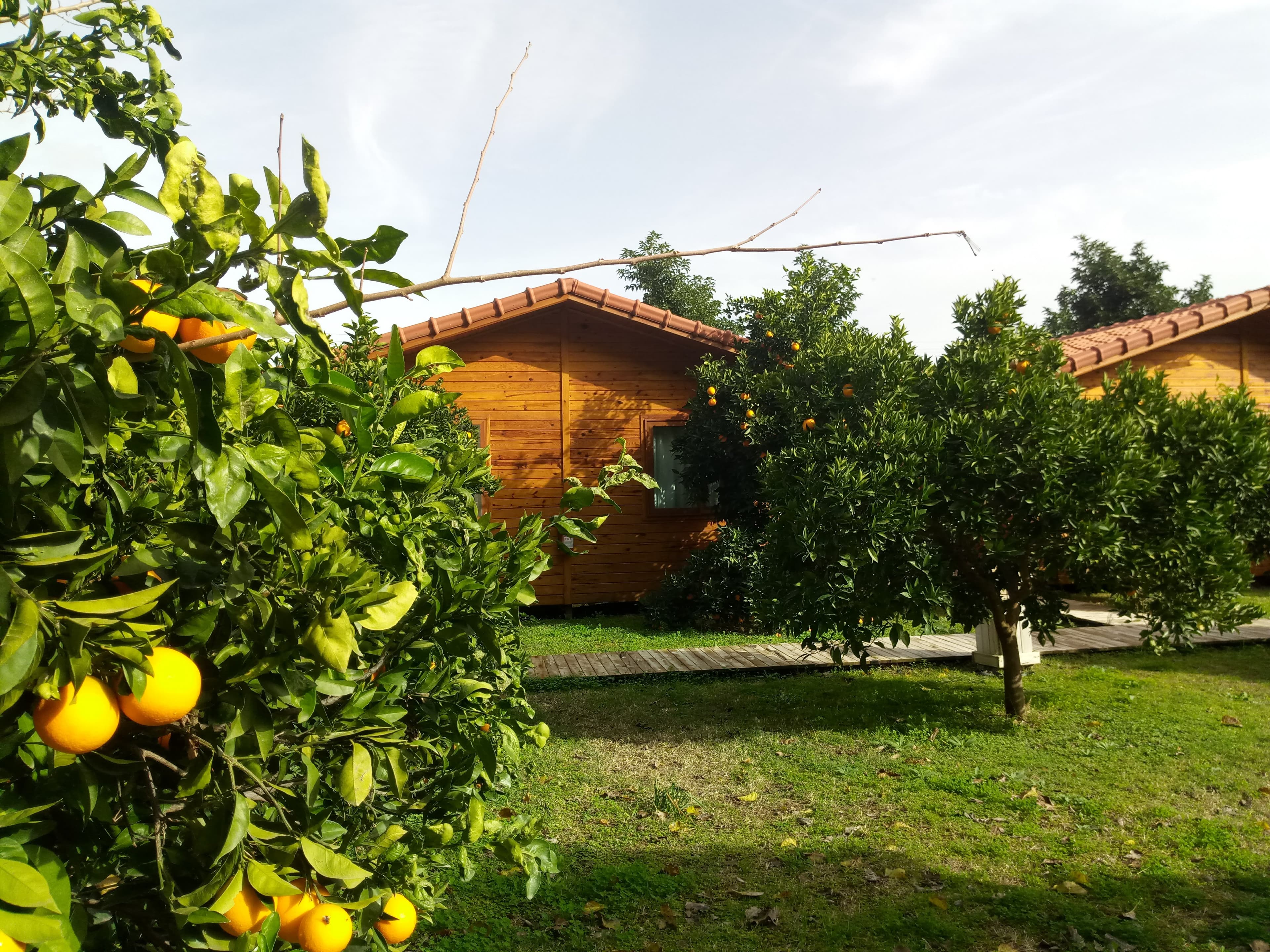 Azra Villas - photo 4