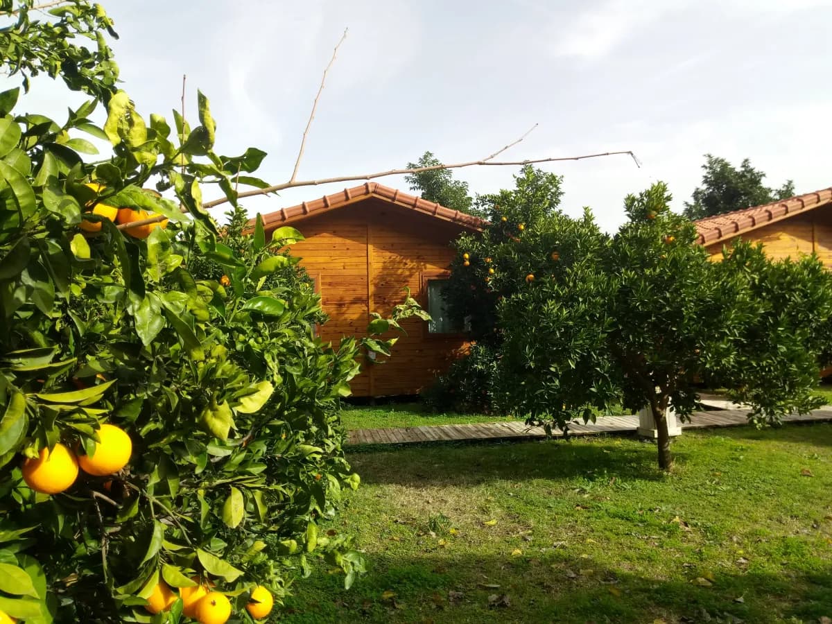 Azra Villas - photo 4