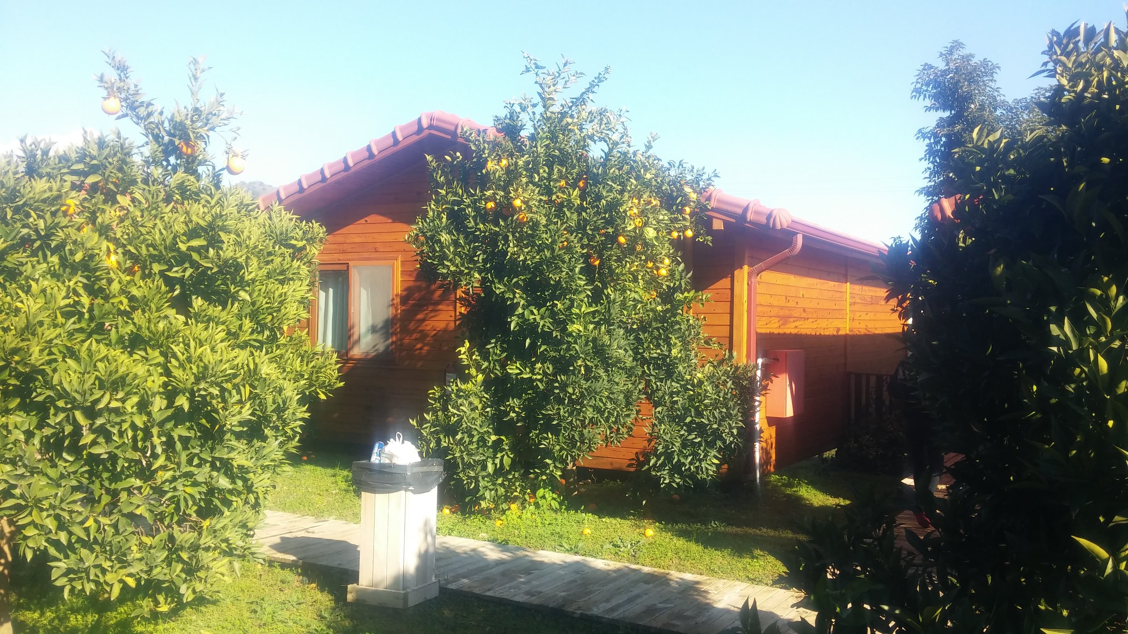 Azra Villas - photo 7