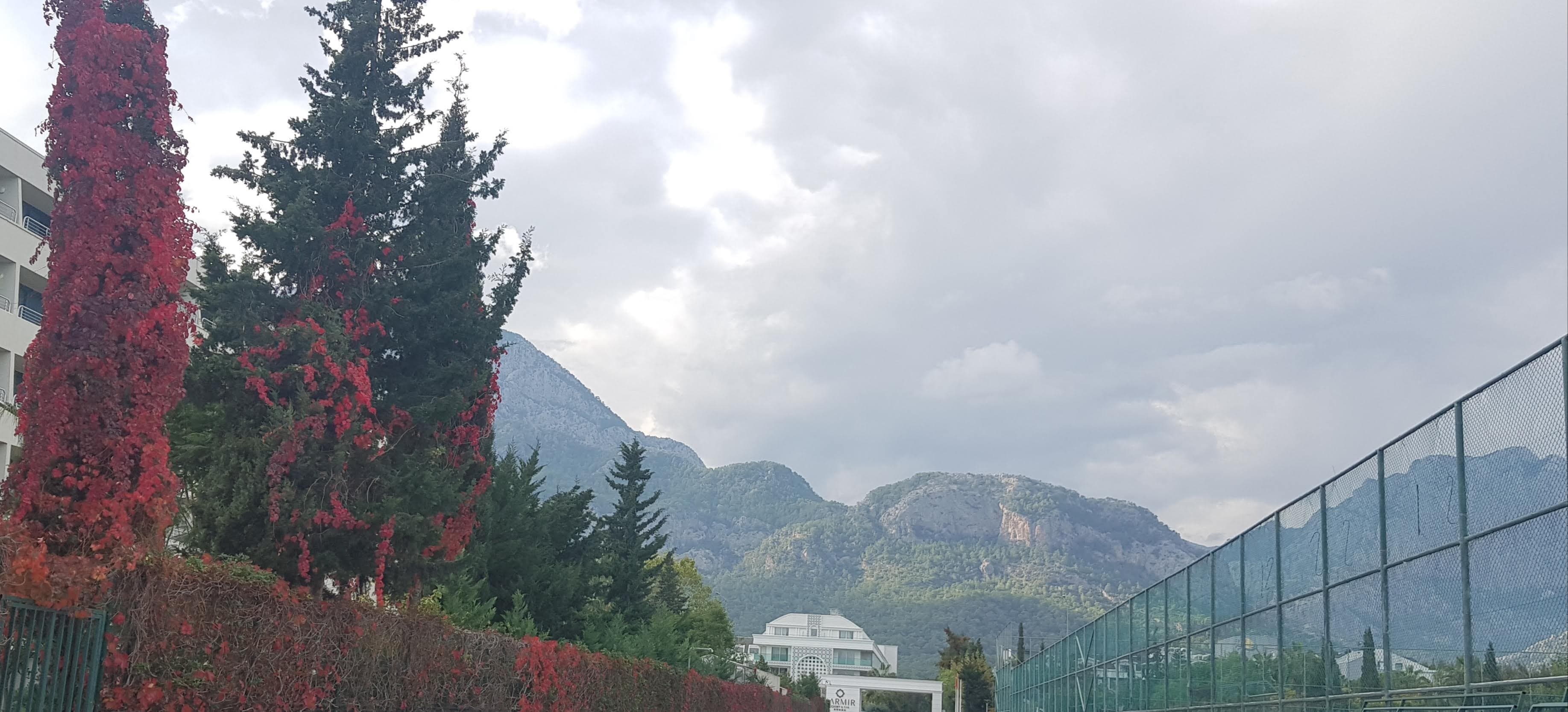 Karmir Resort & Spa - photo 6