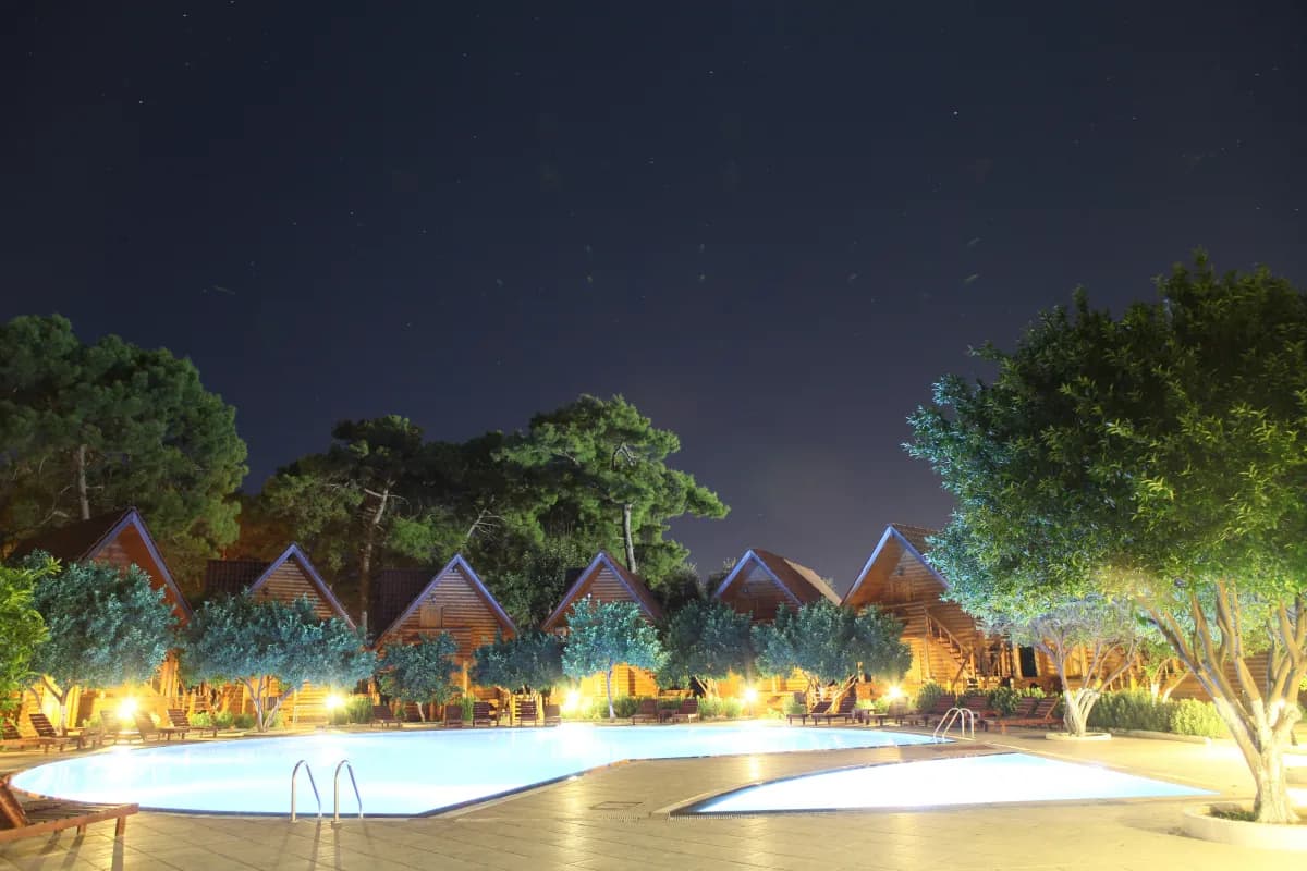 Woodline Hotel - photo 3