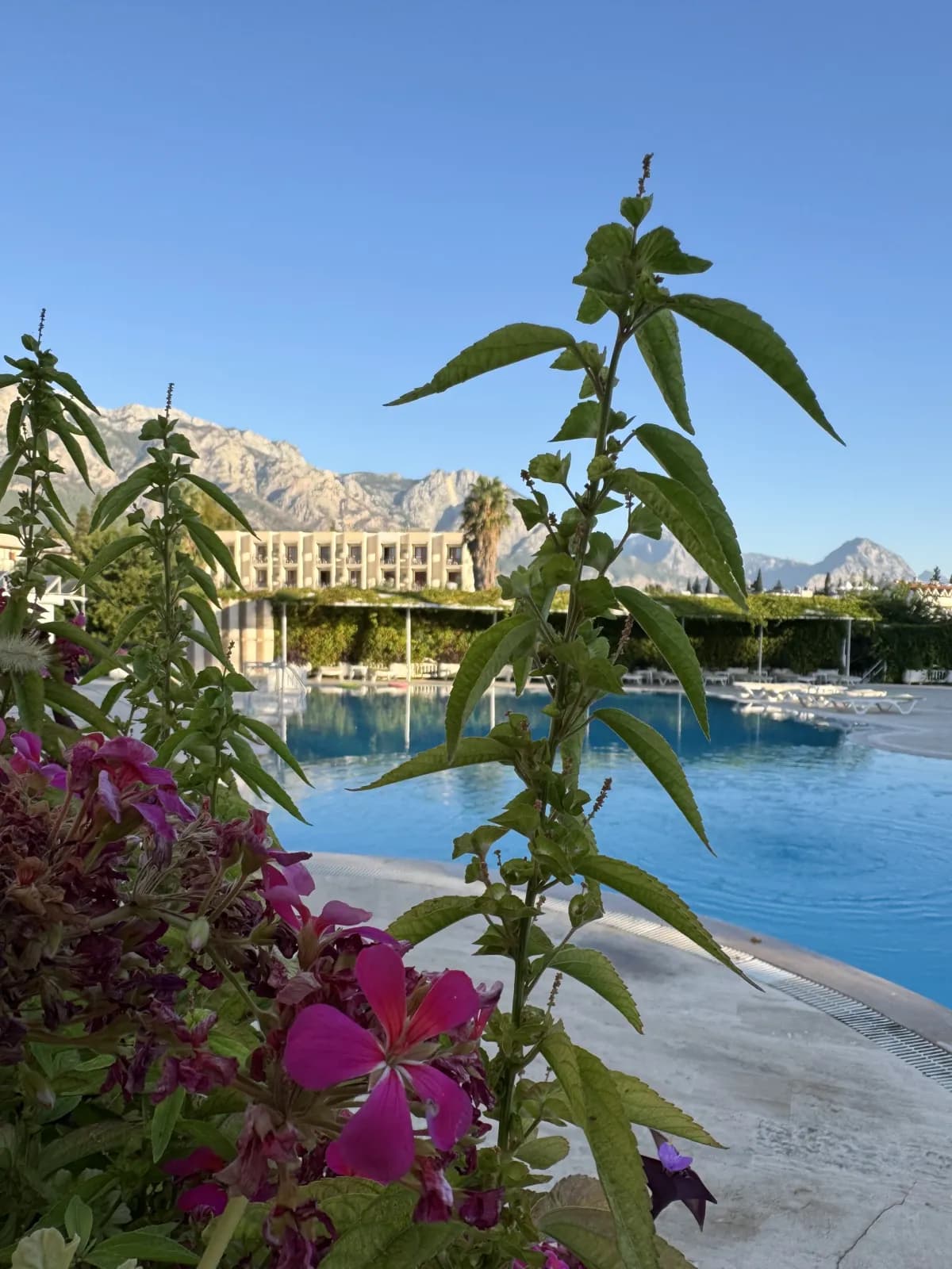 Adalin Resort - photo 5