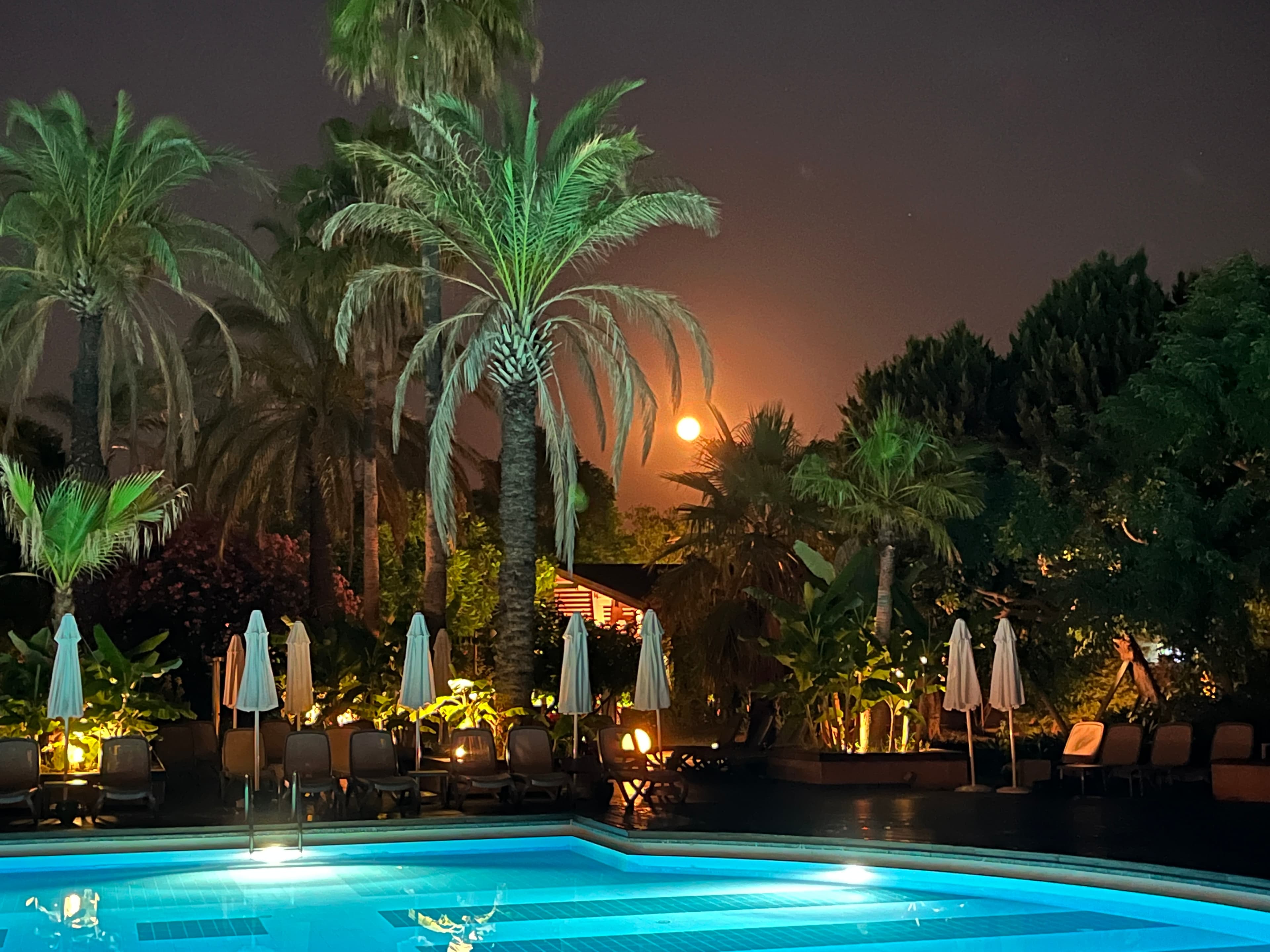 Concorde De Luxe Resort - photo 3
