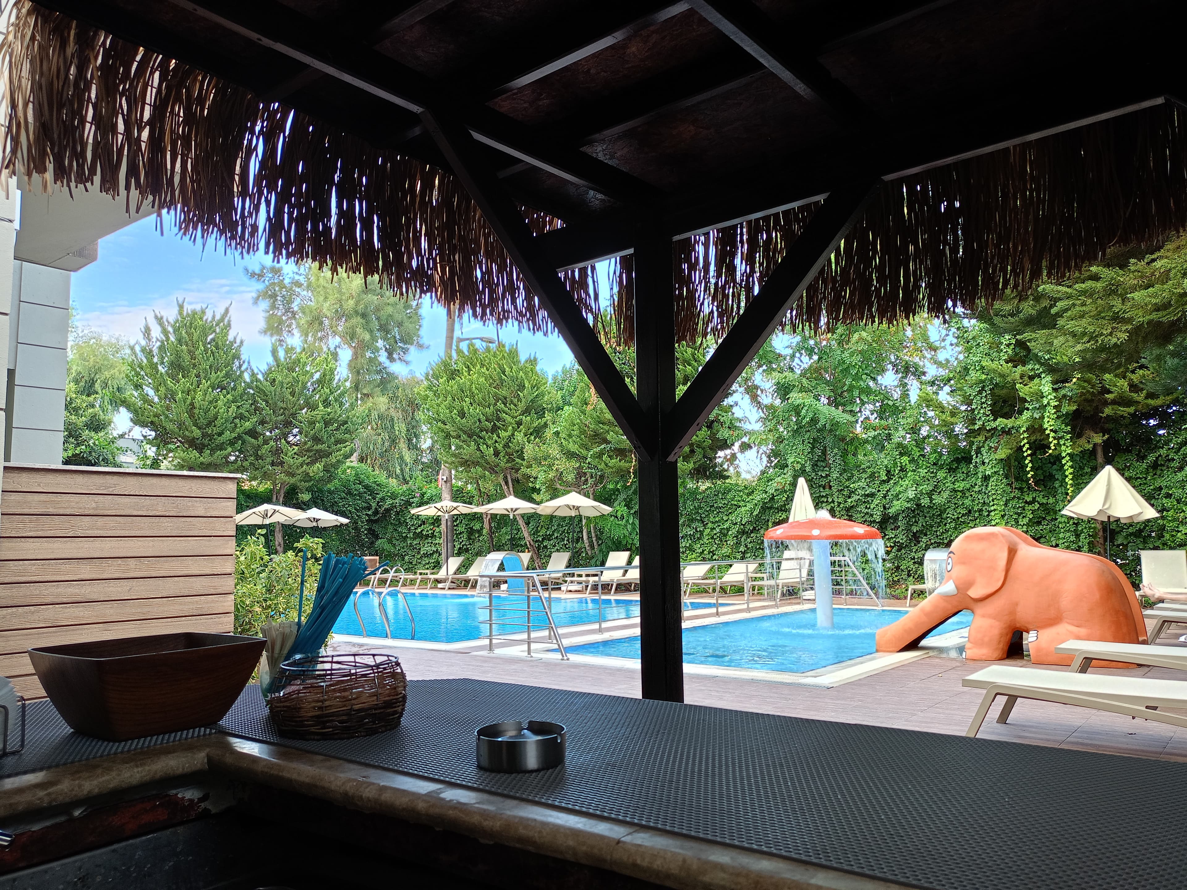 Ambassador Hotel & Spa - photo 3