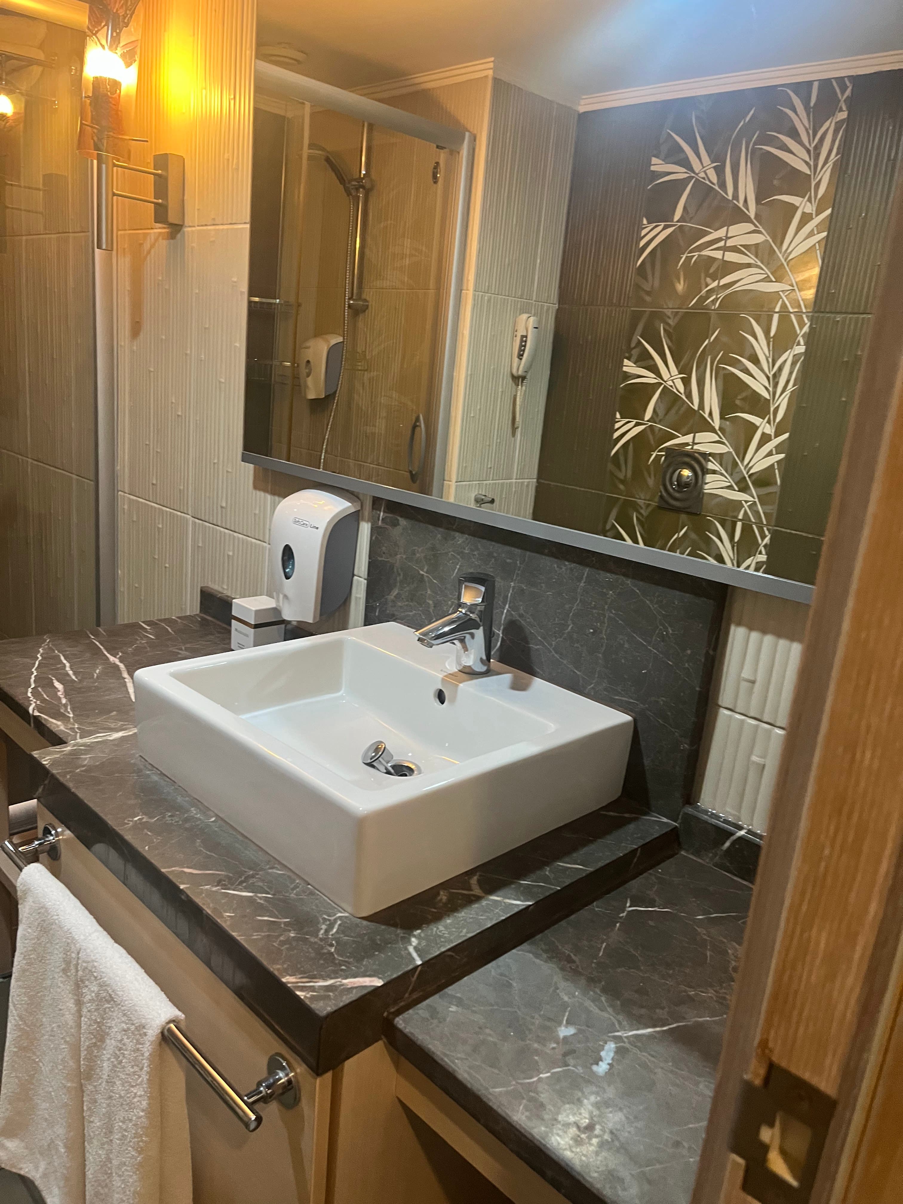 Ambassador Hotel & Spa - photo 6