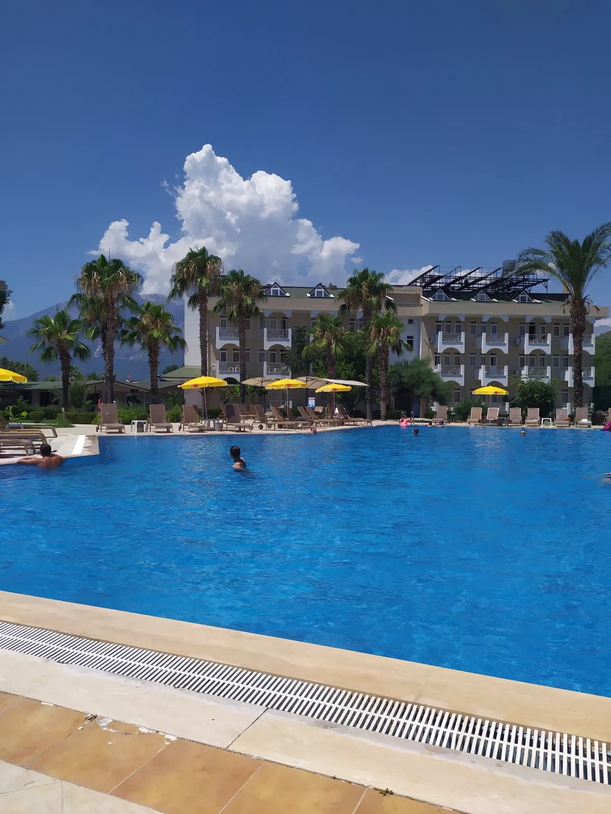 Anita Dream Hotel - photo 2