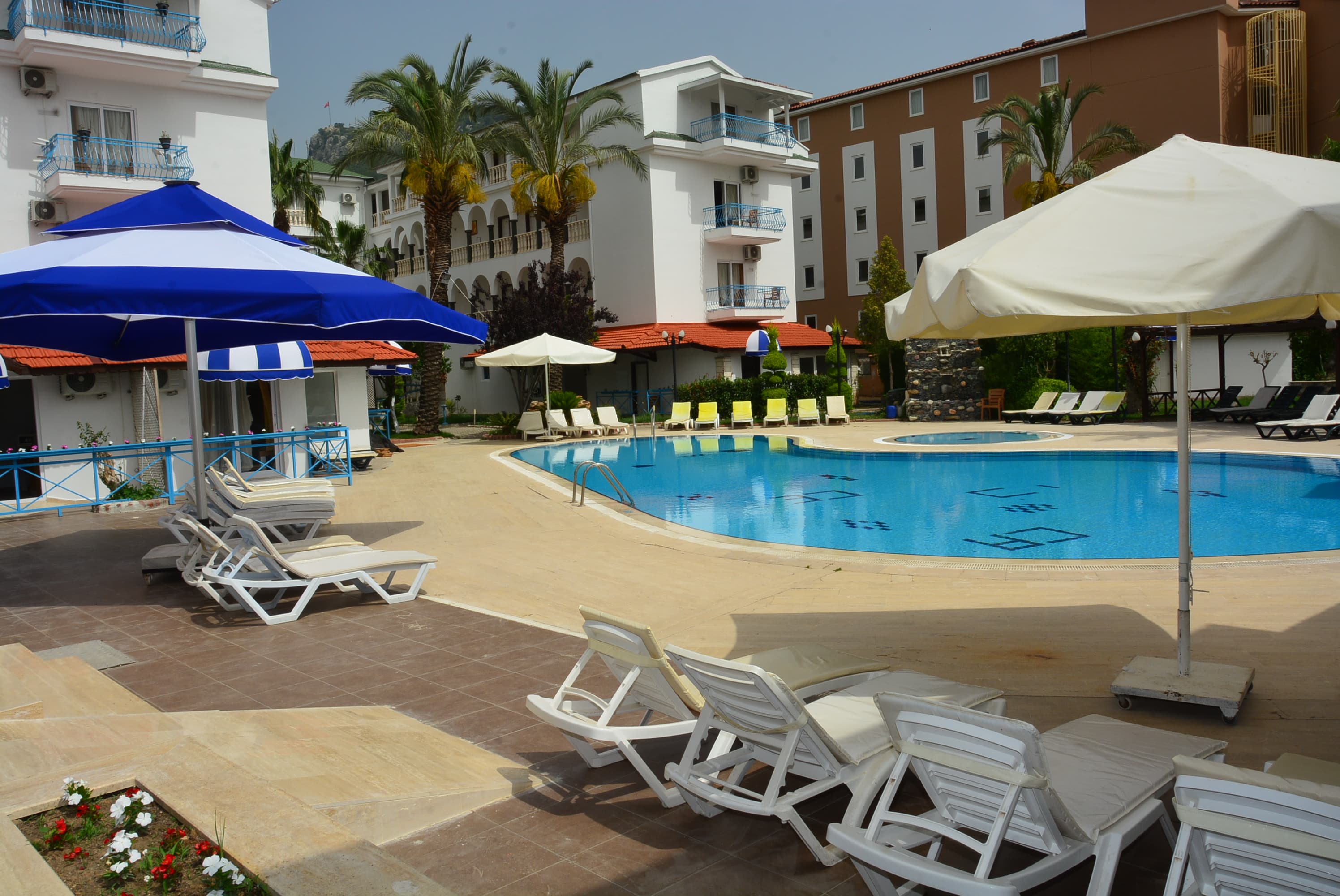 Anita Dream Hotel - photo 4