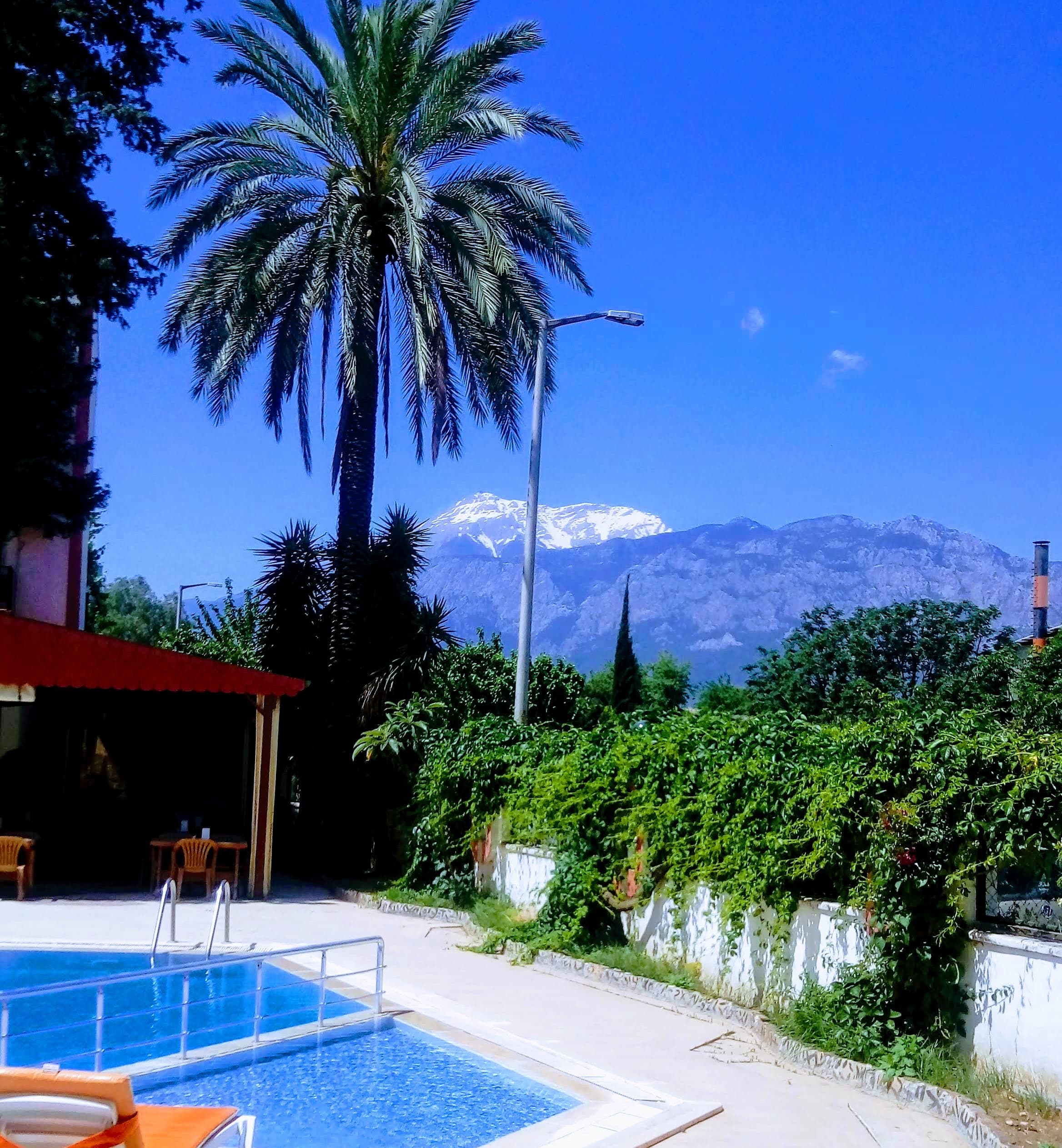 Armeria Hotel - photo 3