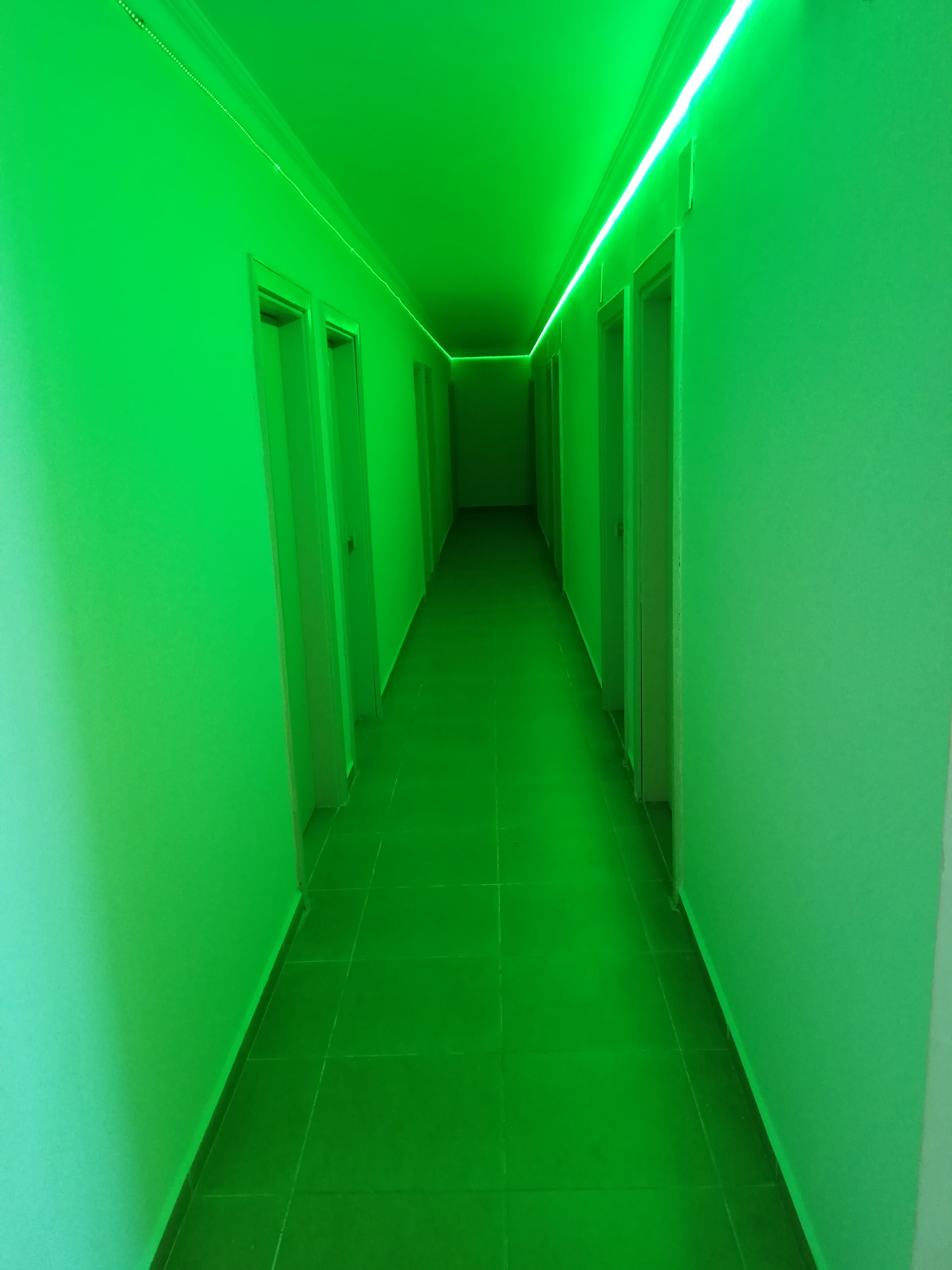 Armeria Hotel - photo 5