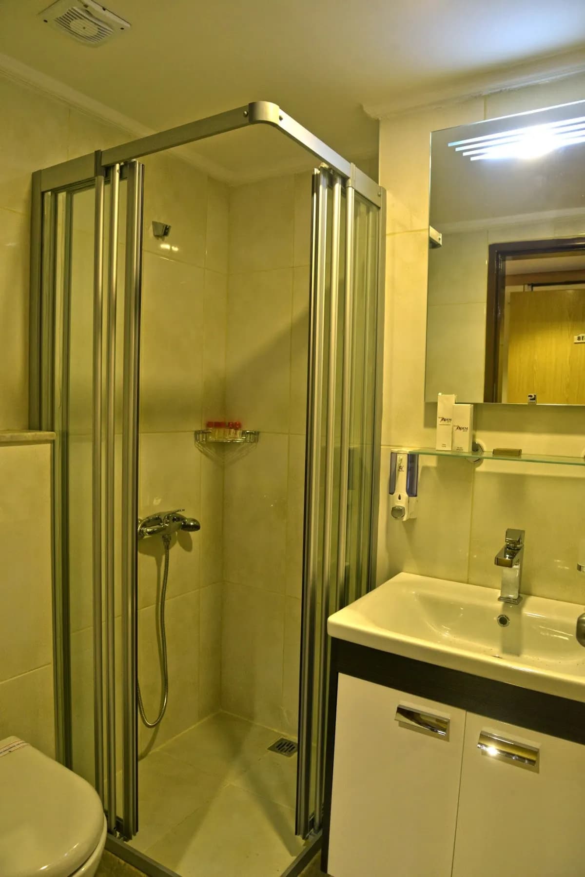 ASDEM PARK HOTEL - photo 4
