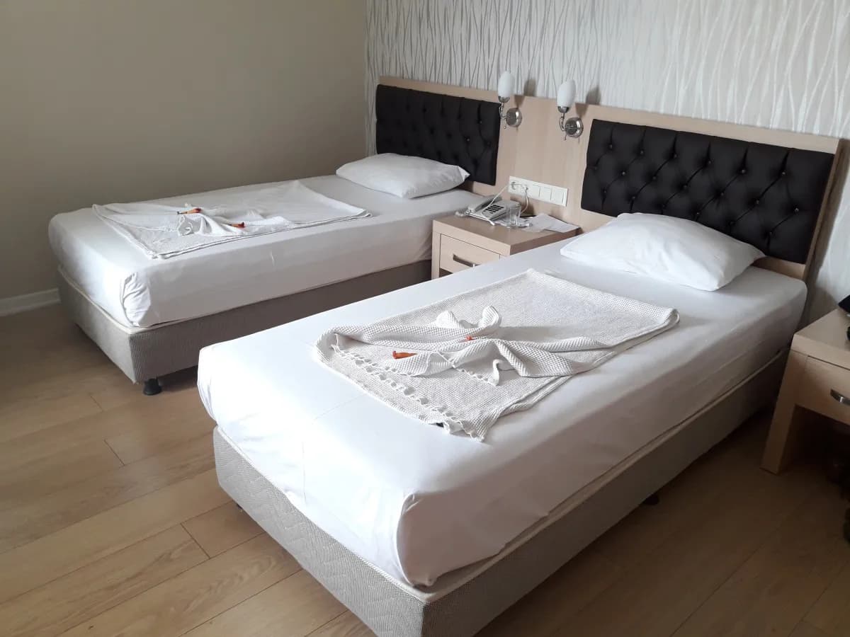 ASDEM PARK HOTEL - photo 10