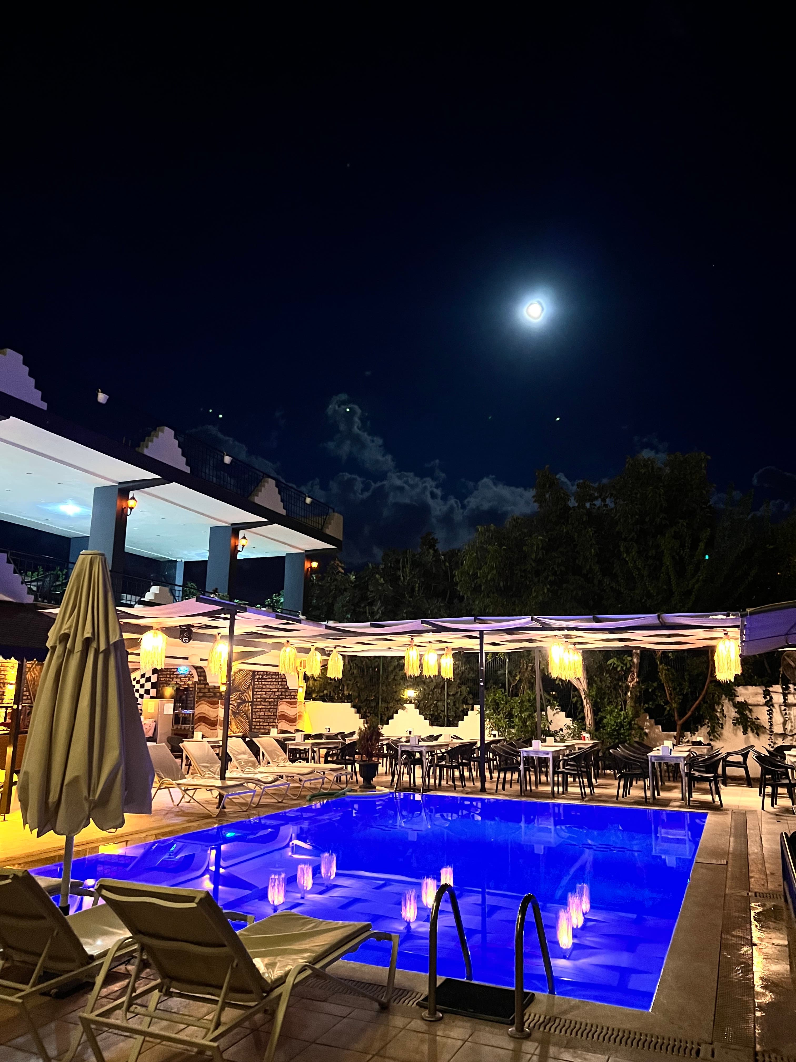 Begonya Hotel Kemer - photo 6