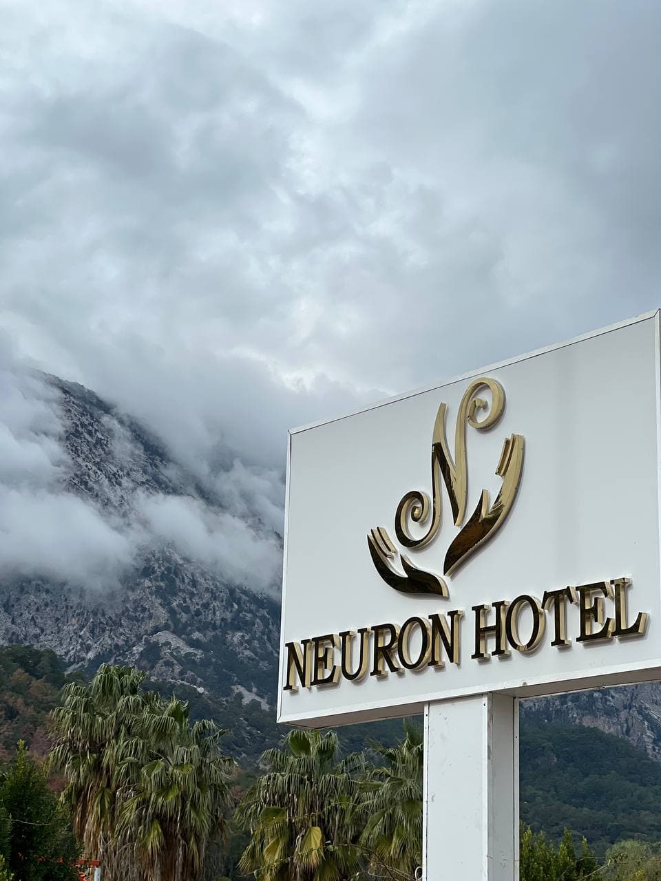 Neuron Hotel - photo 6