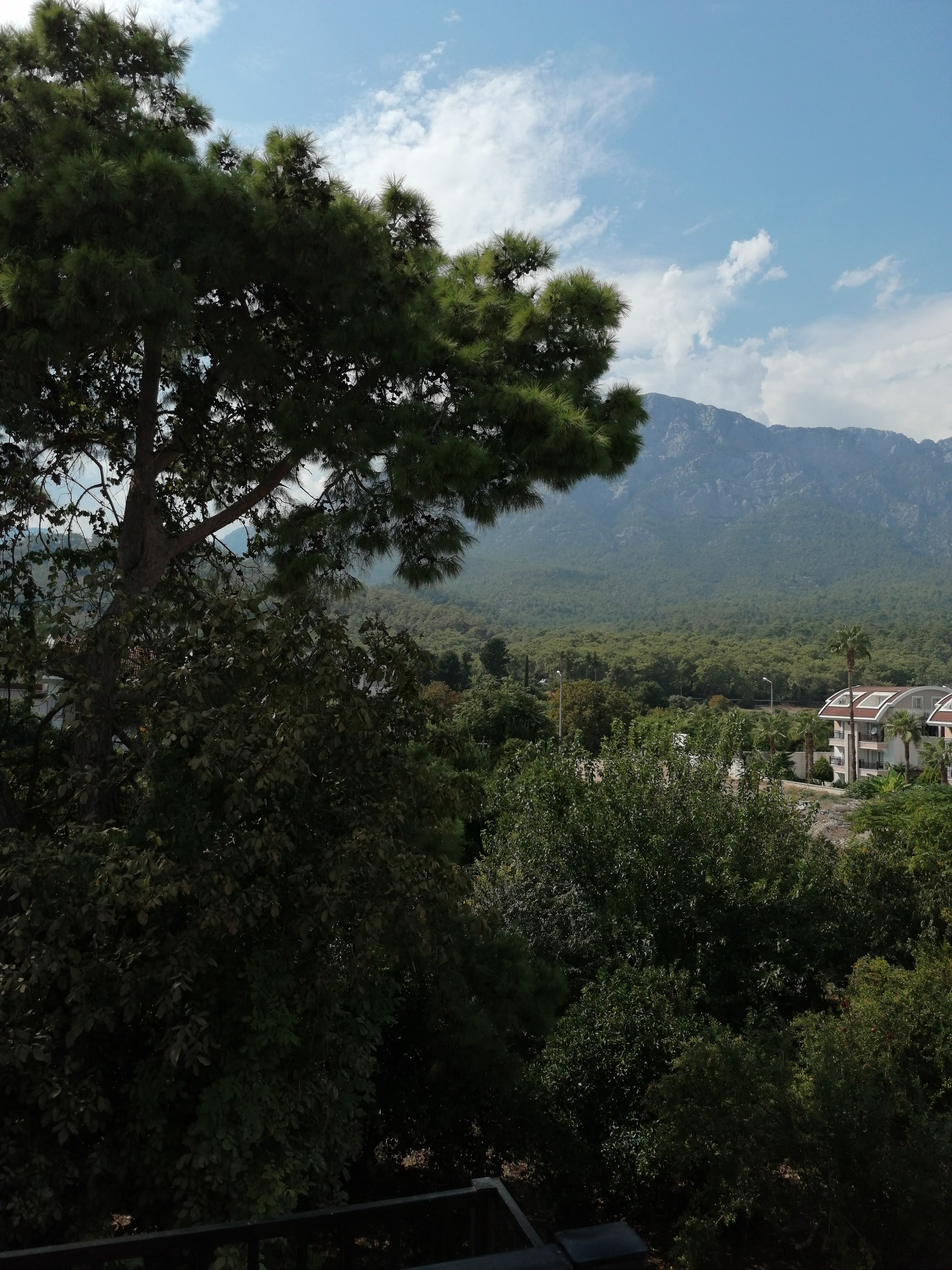 Club Park Marina Hotel - photo 10