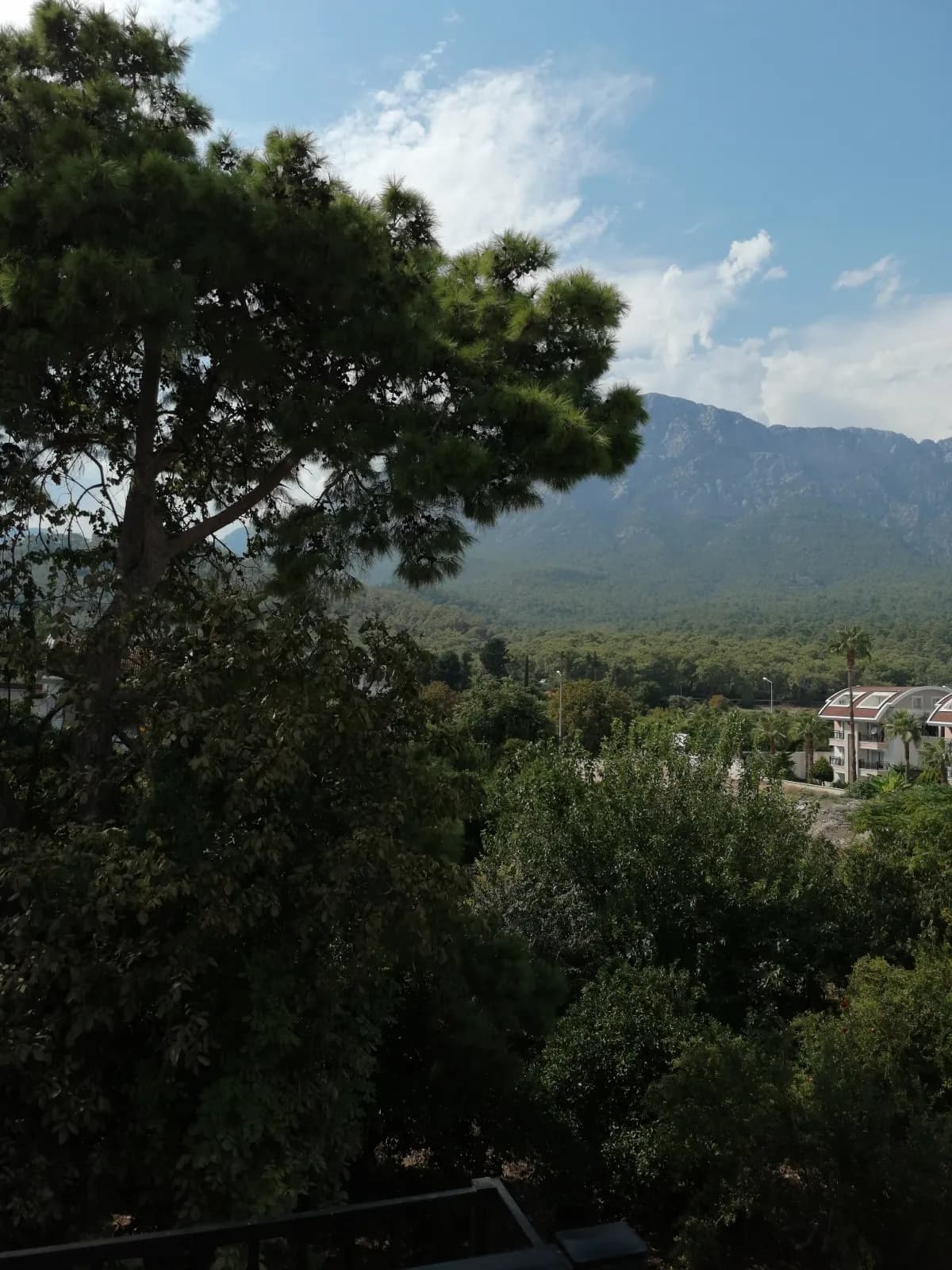 Club Park Marina Hotel - photo 10