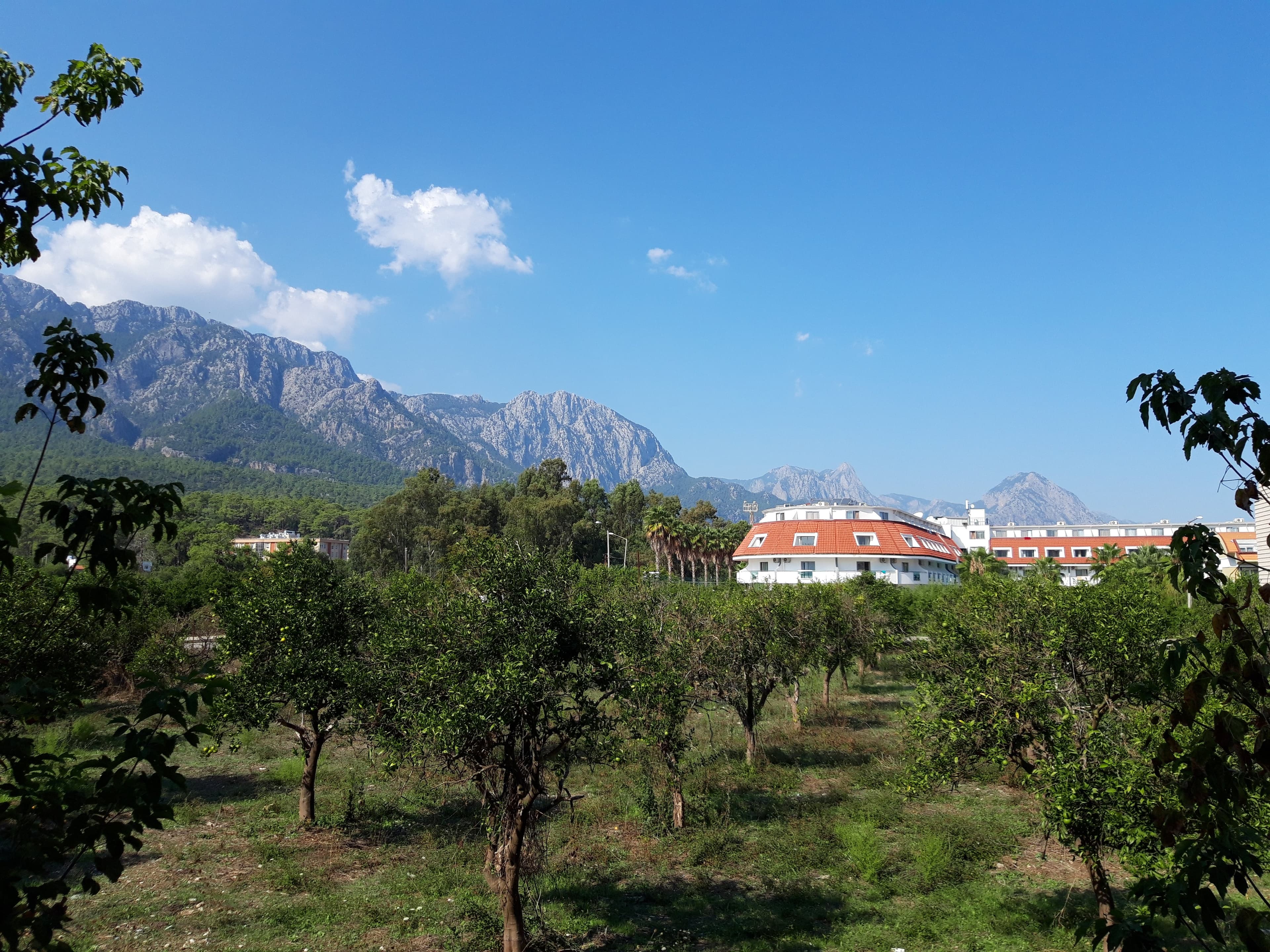 Erkal Resort Hotel - photo 7