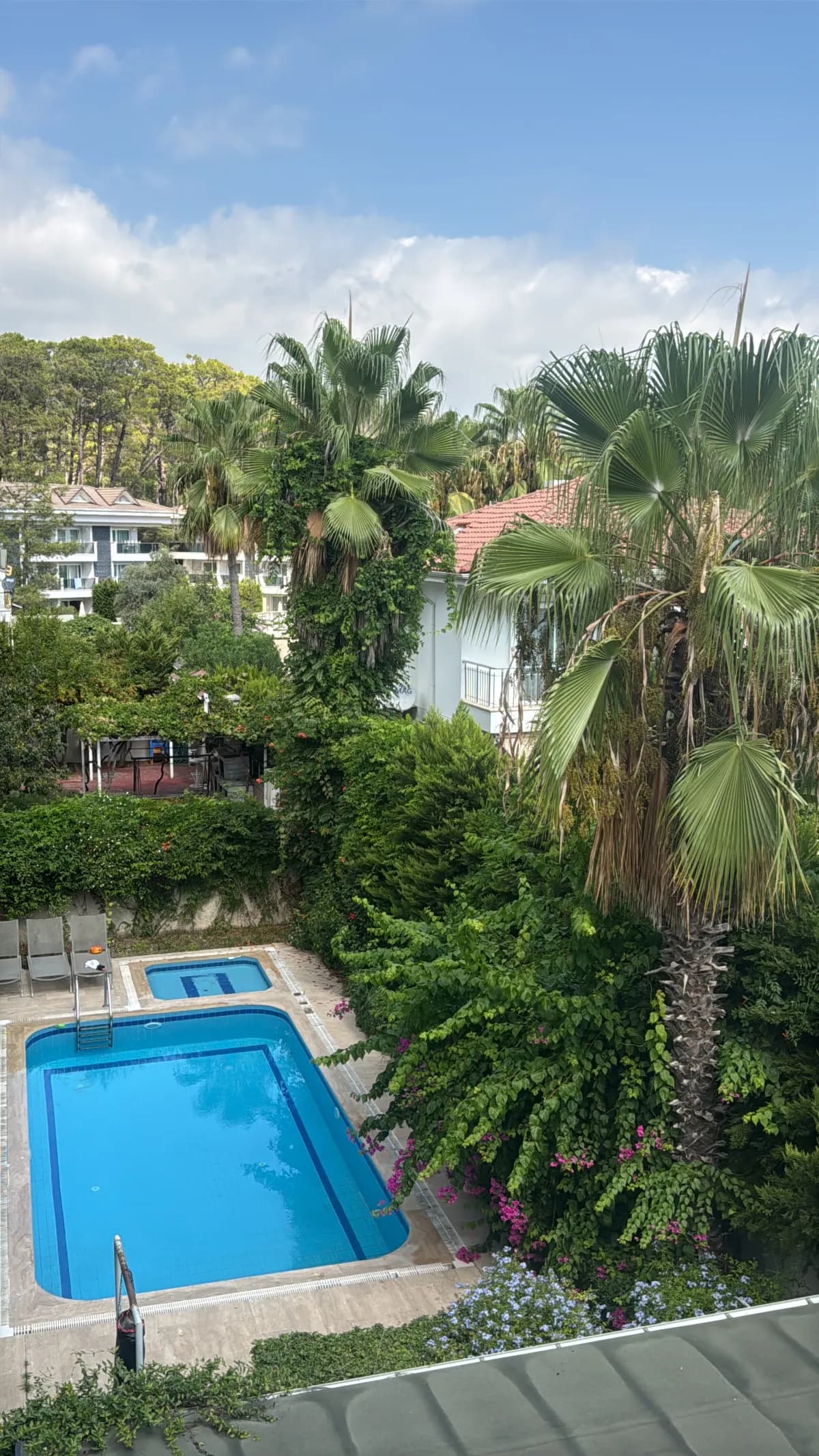 Forest Park Hotel - photo 3