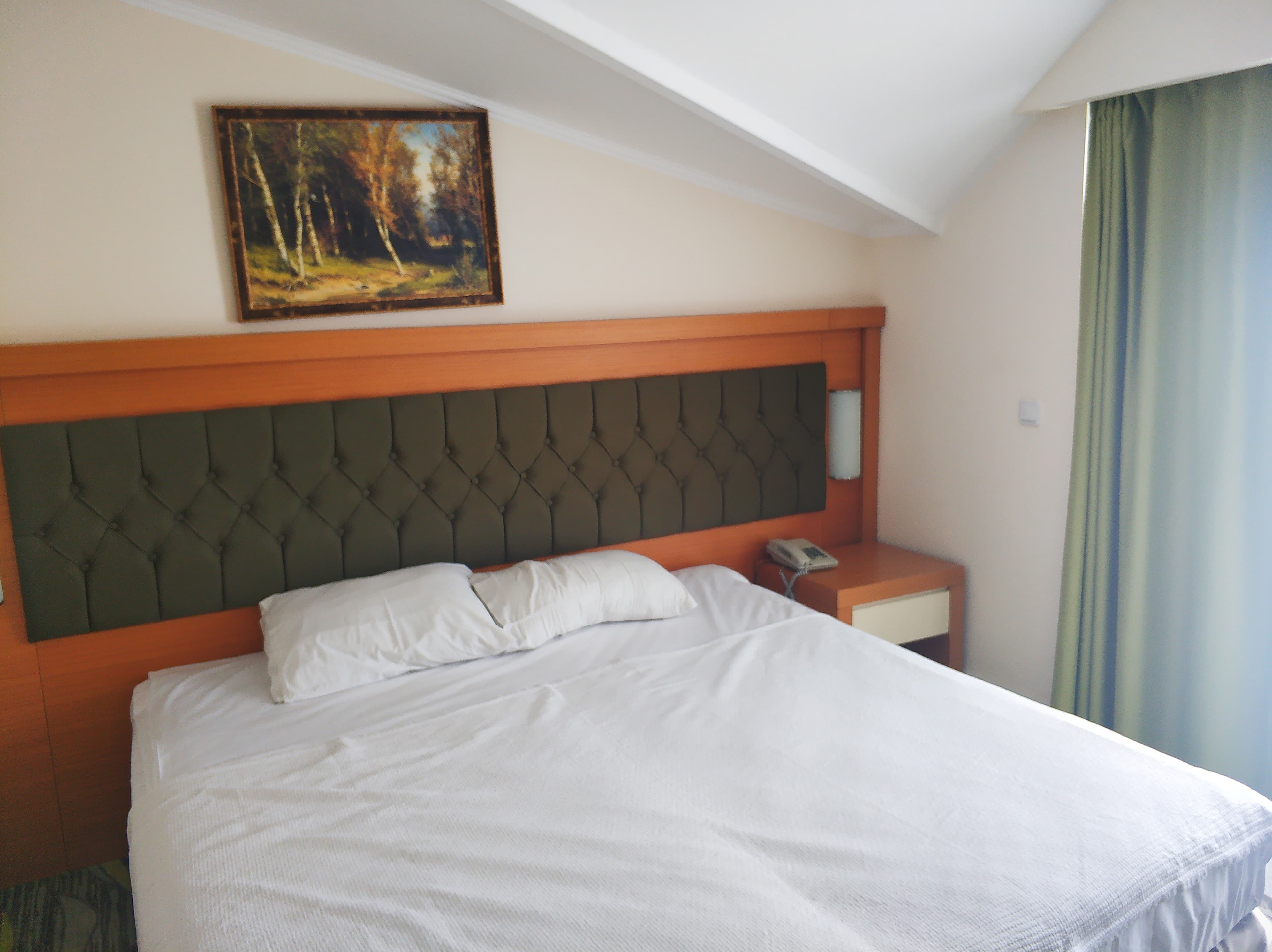 Forest Park Hotel - photo 7