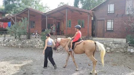 Oranj Ranch Hotel - photo 6