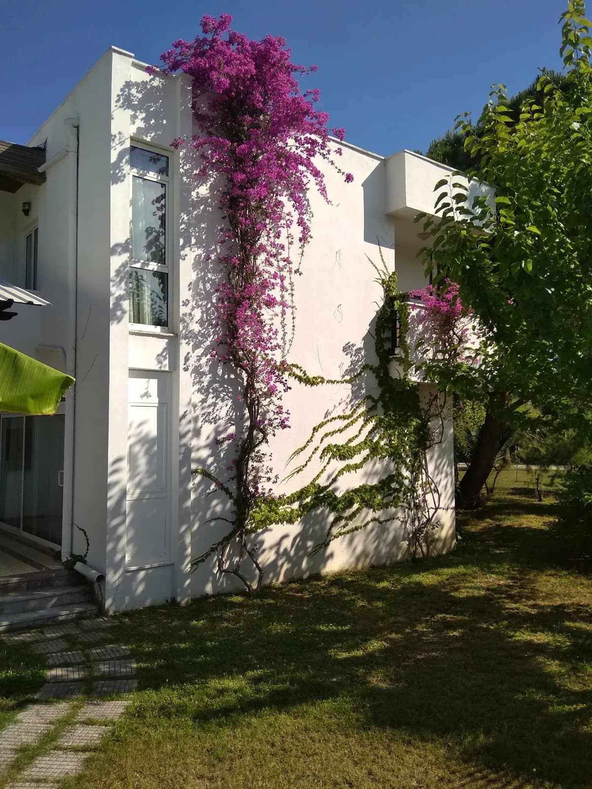 Simena Holiday Village & Villa - photo 4