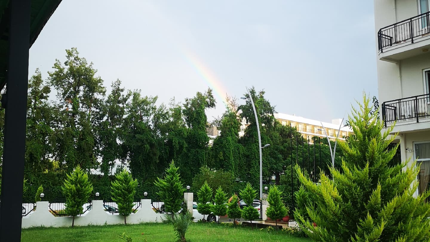 Tal Beach Hotel - photo 5