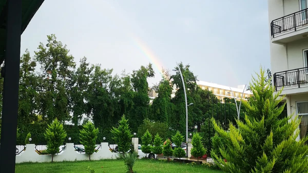 Tal Beach Hotel - photo 5
