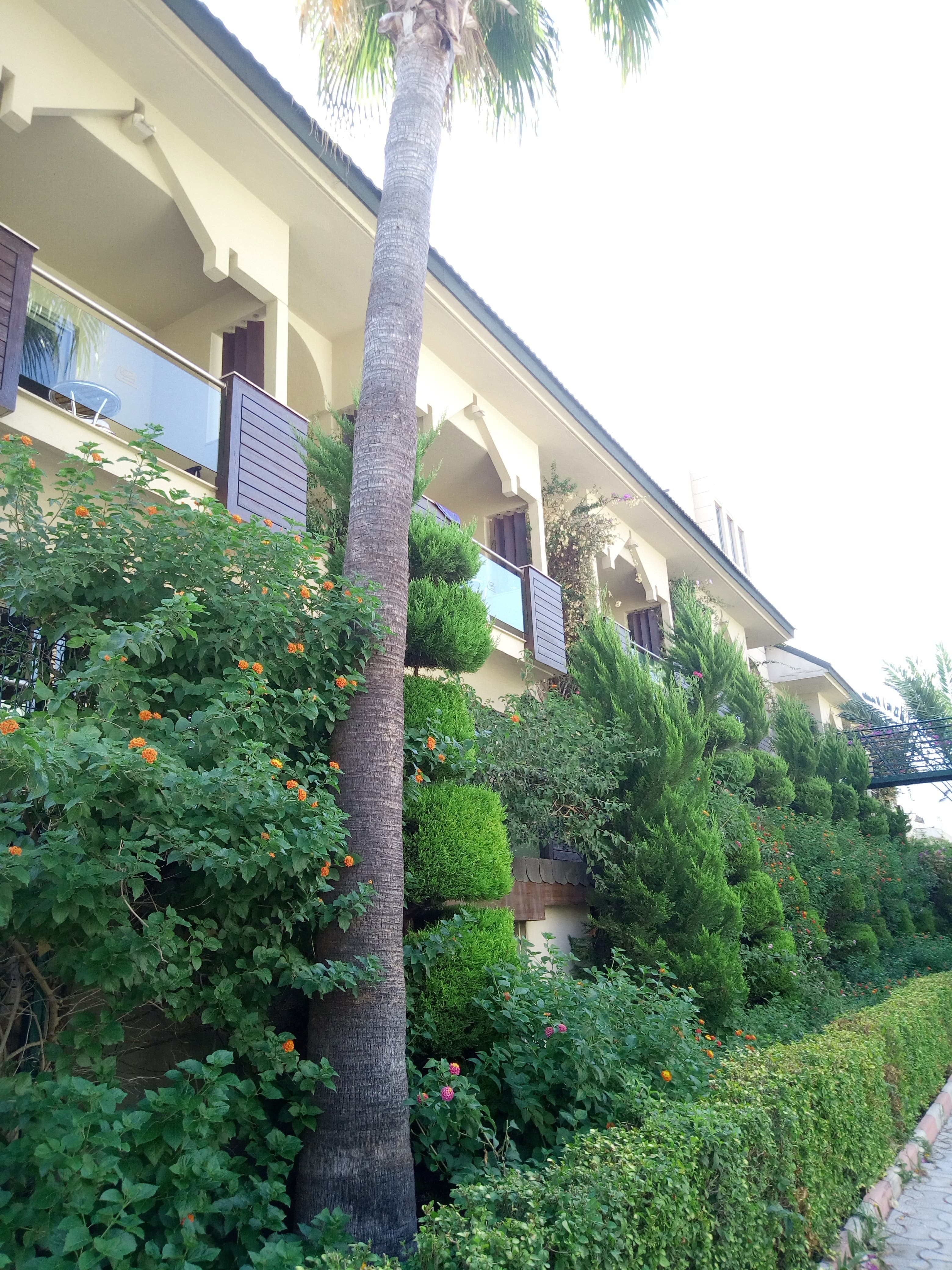 Yildiz Boutique Hotel - photo 10