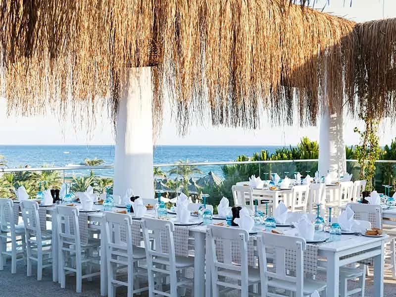Paloma Oceana - photo 7
