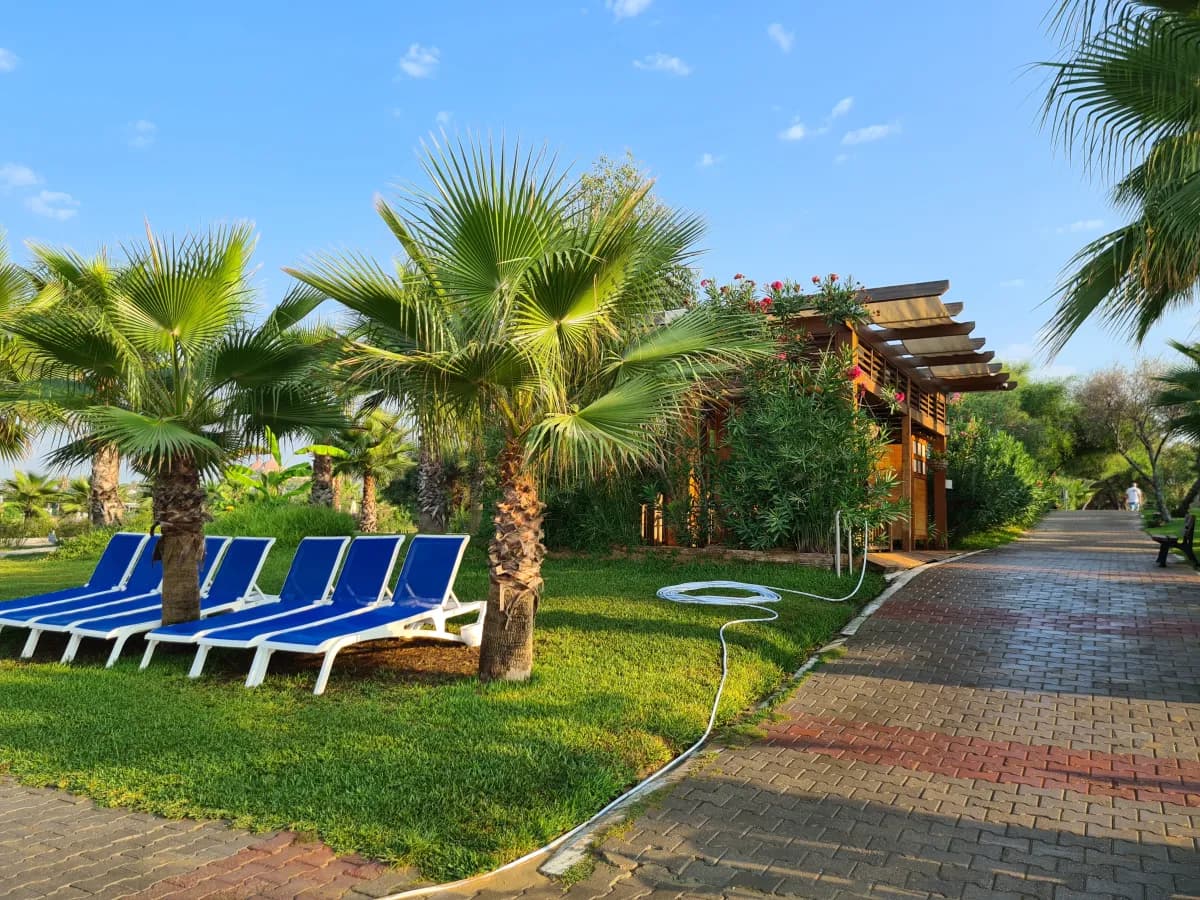 Sural Resort Hotel - photo 7