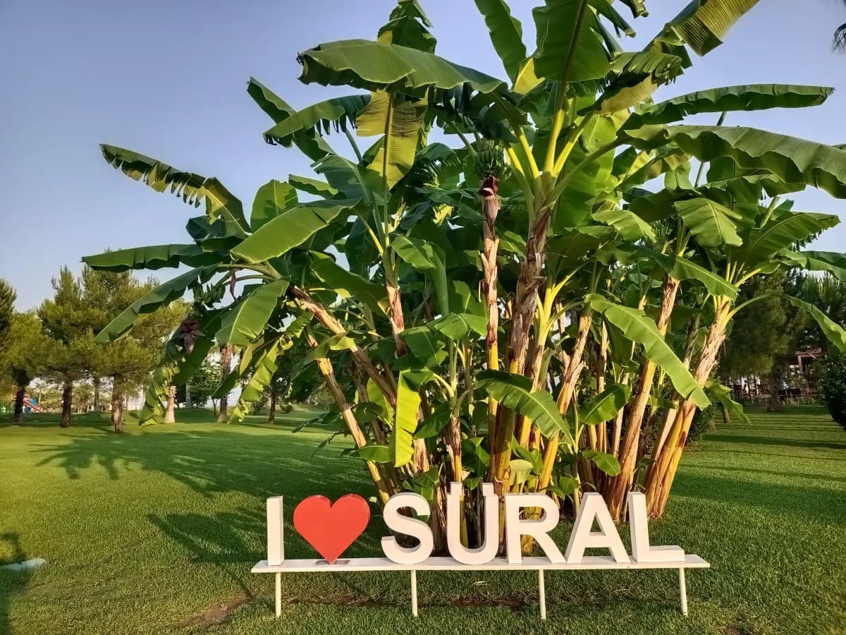 Sural Resort Hotel - photo 10