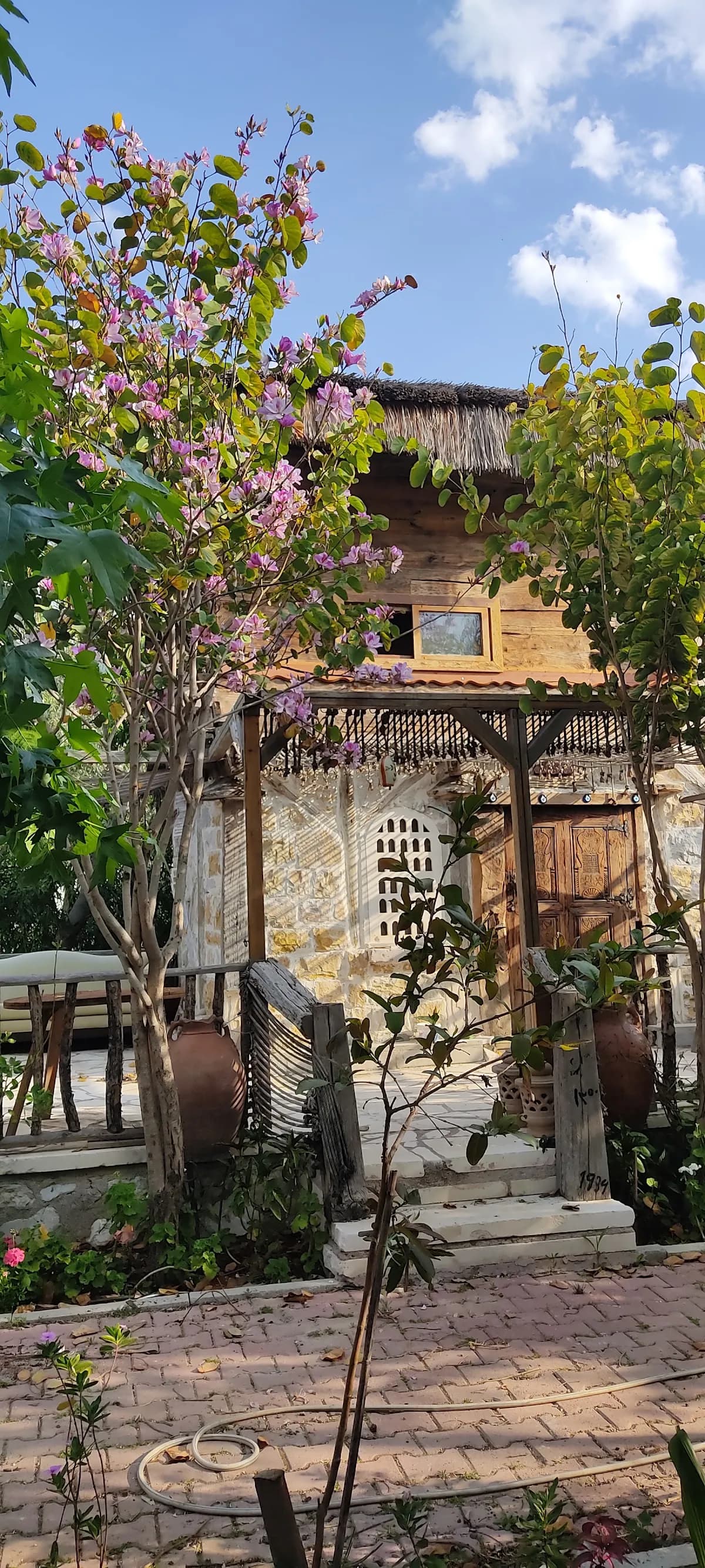 adraHasan Bungalow - photo 9