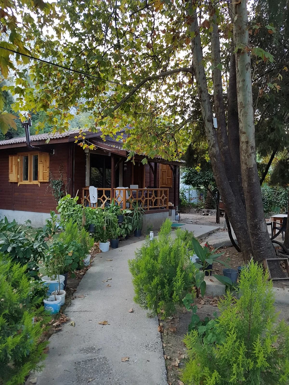 Maji Village Hotel - photo 6