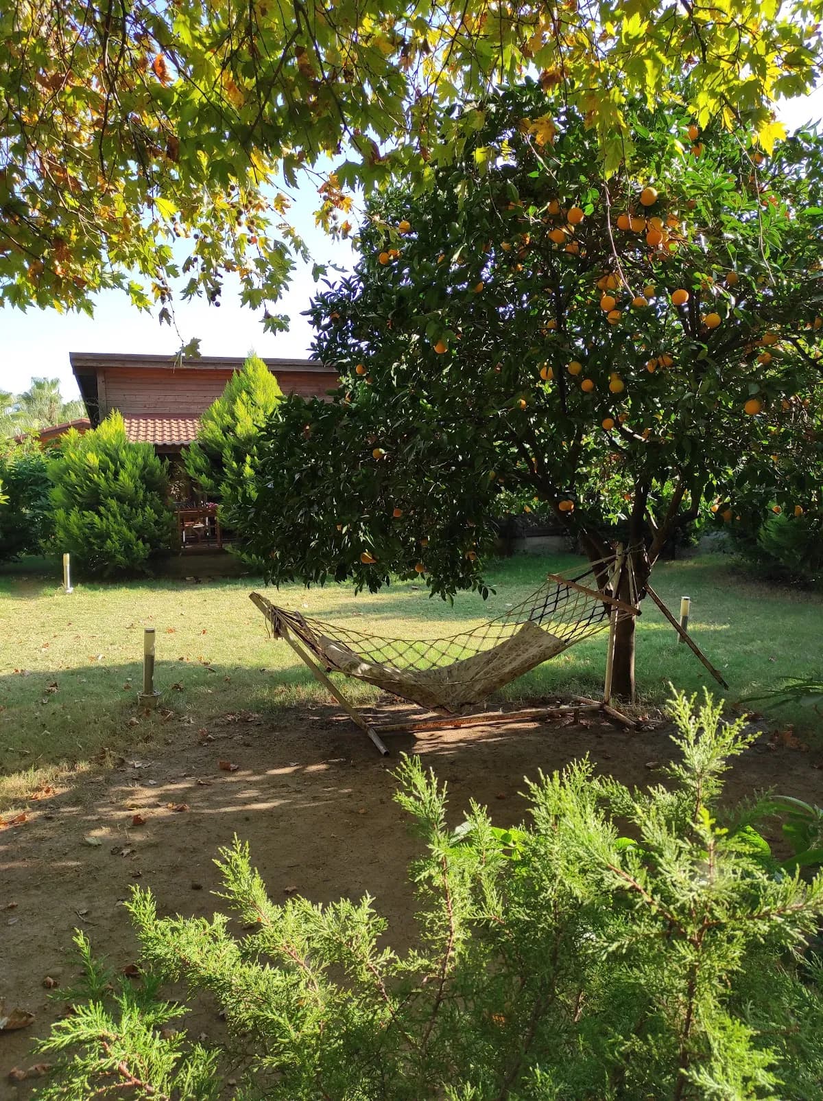 Maji Village Hotel - photo 9