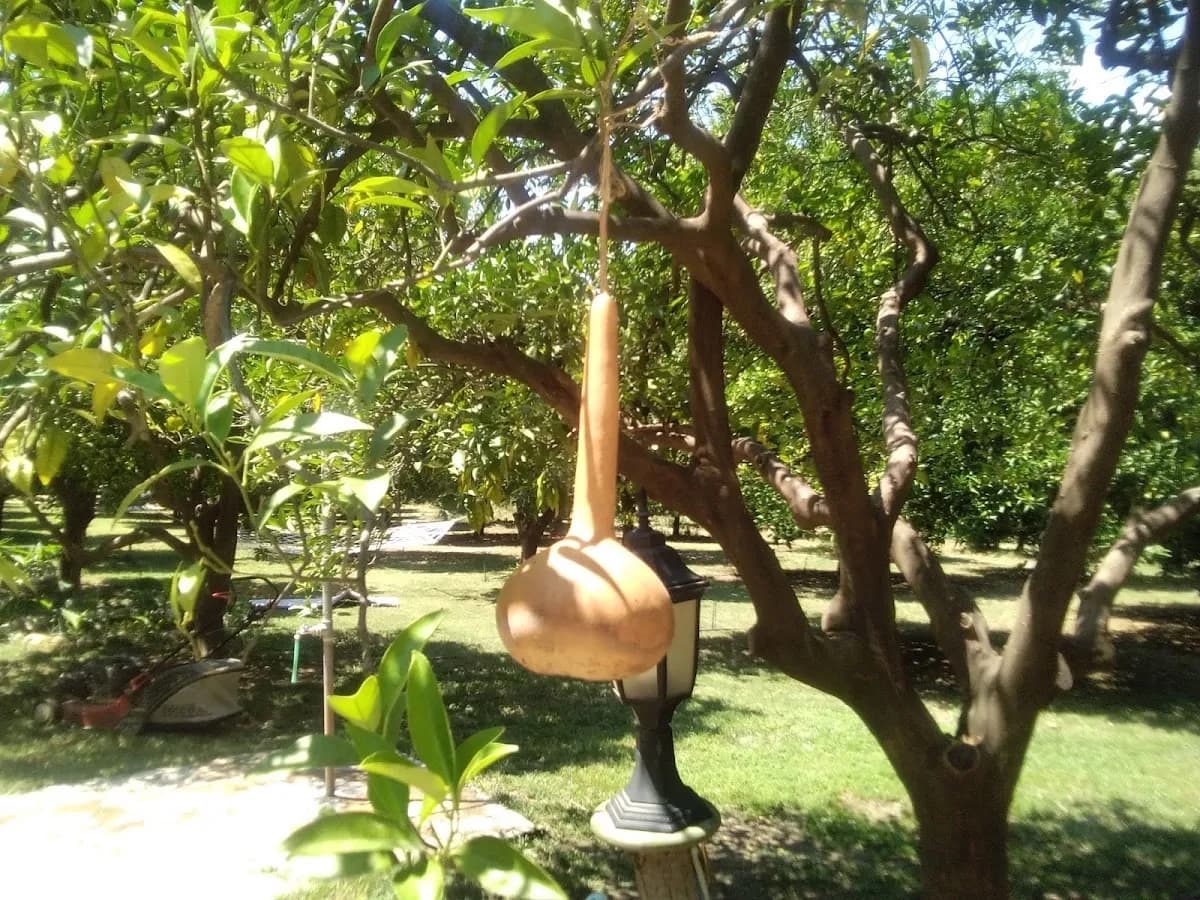 Maji Village Hotel - photo 10
