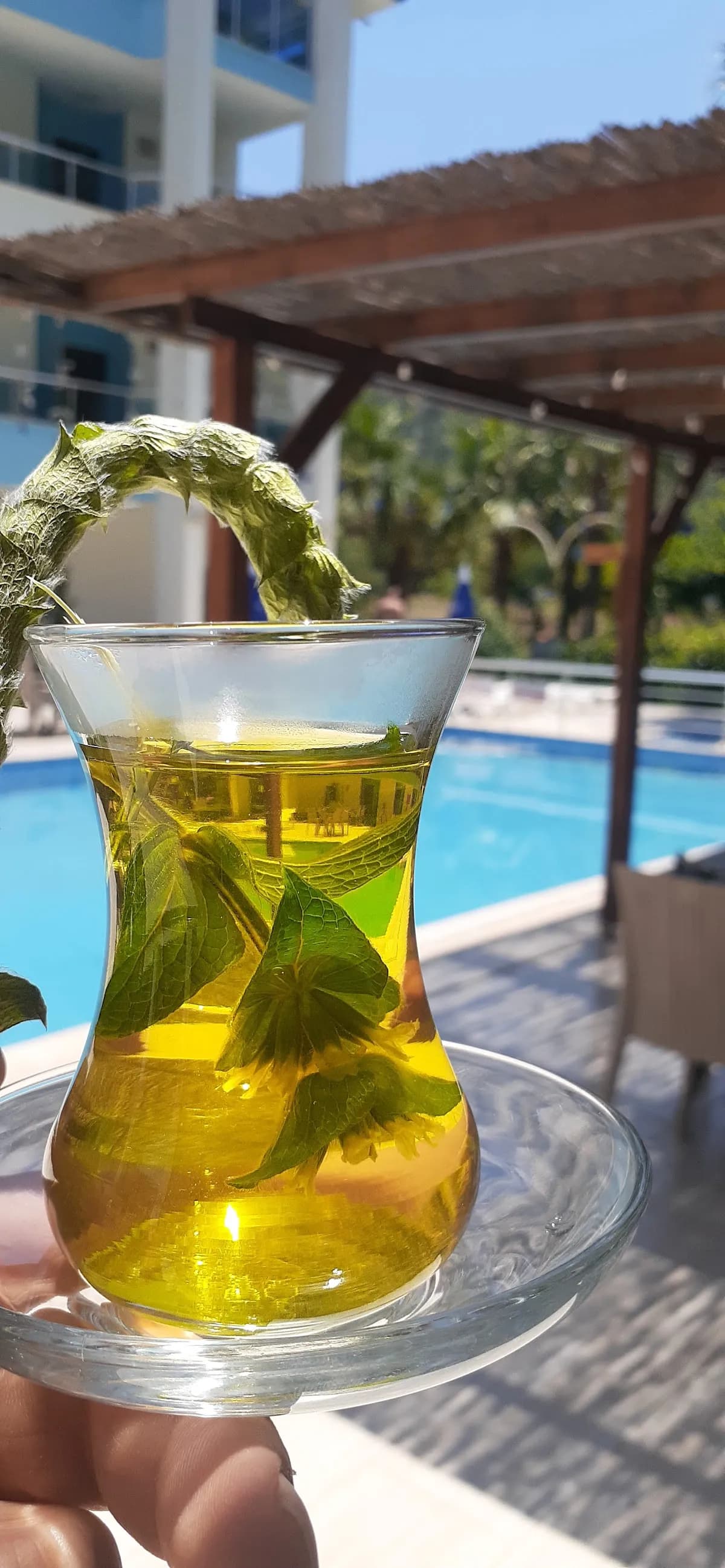 Ada Arası Otel Adrasan - photo 8