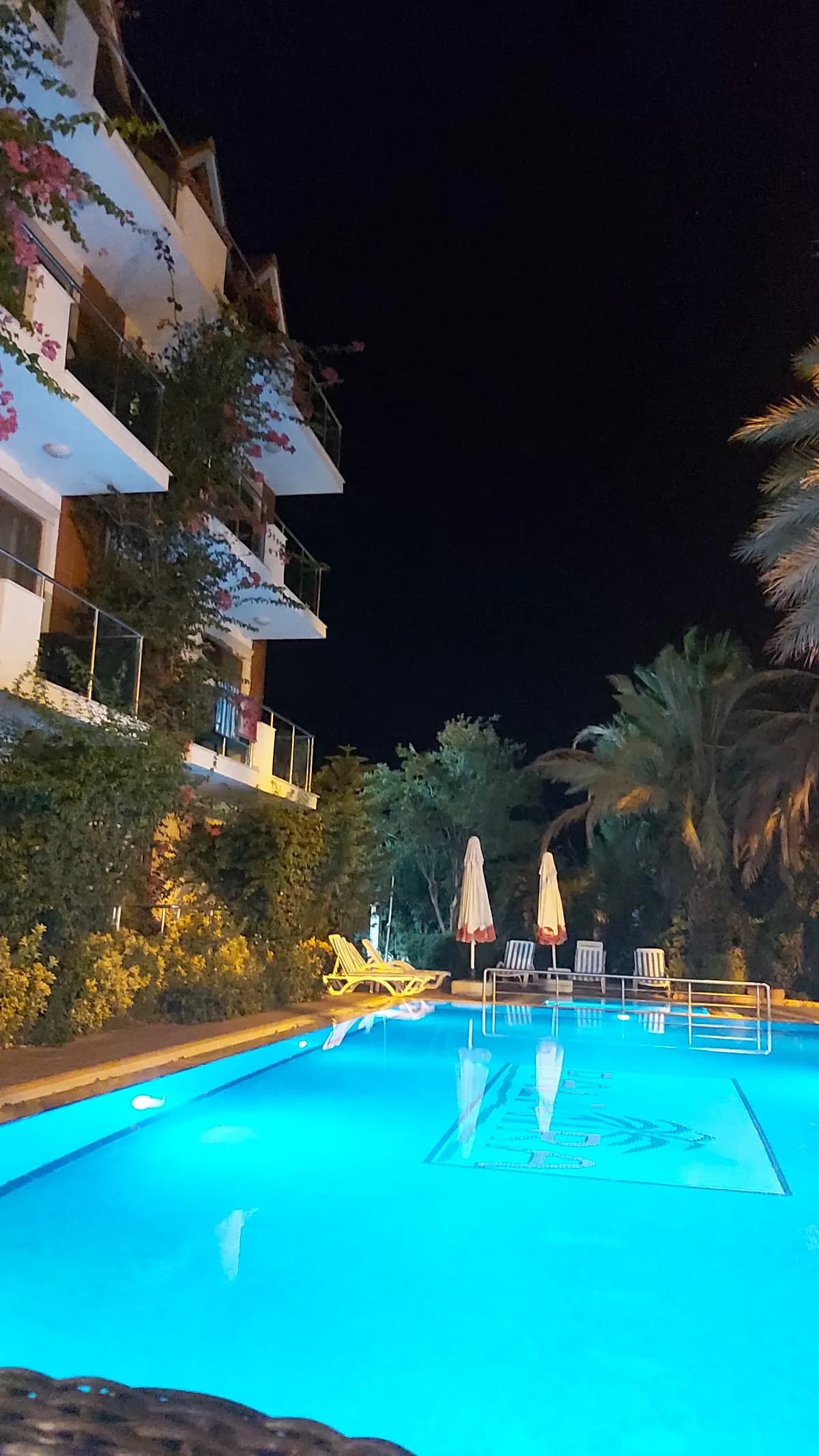 Palmira Hotel - photo 9