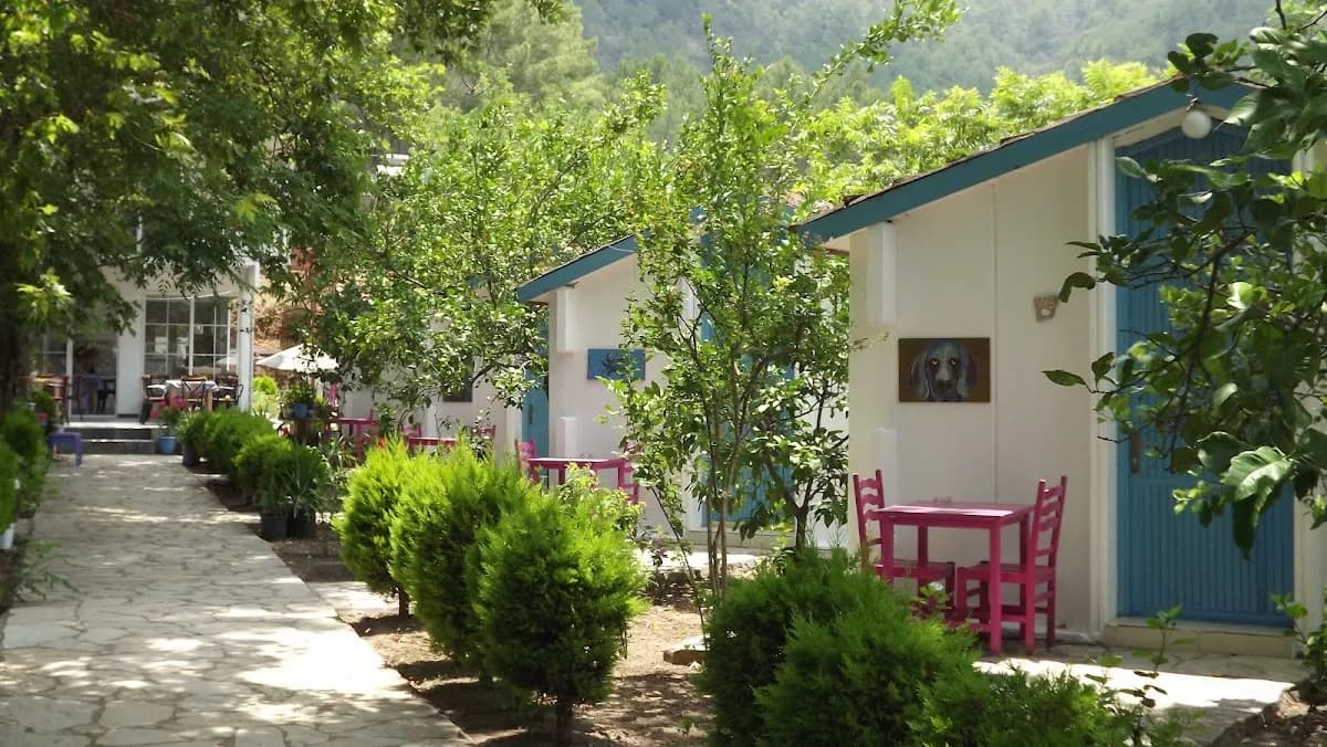 Zebu Hotel Adrasan - photo 6