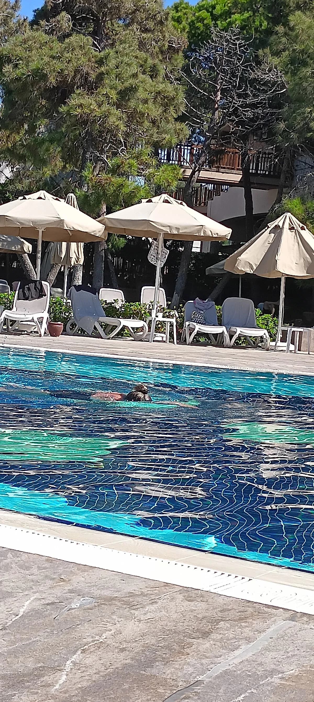 Side moon palace otel beach - photo 7