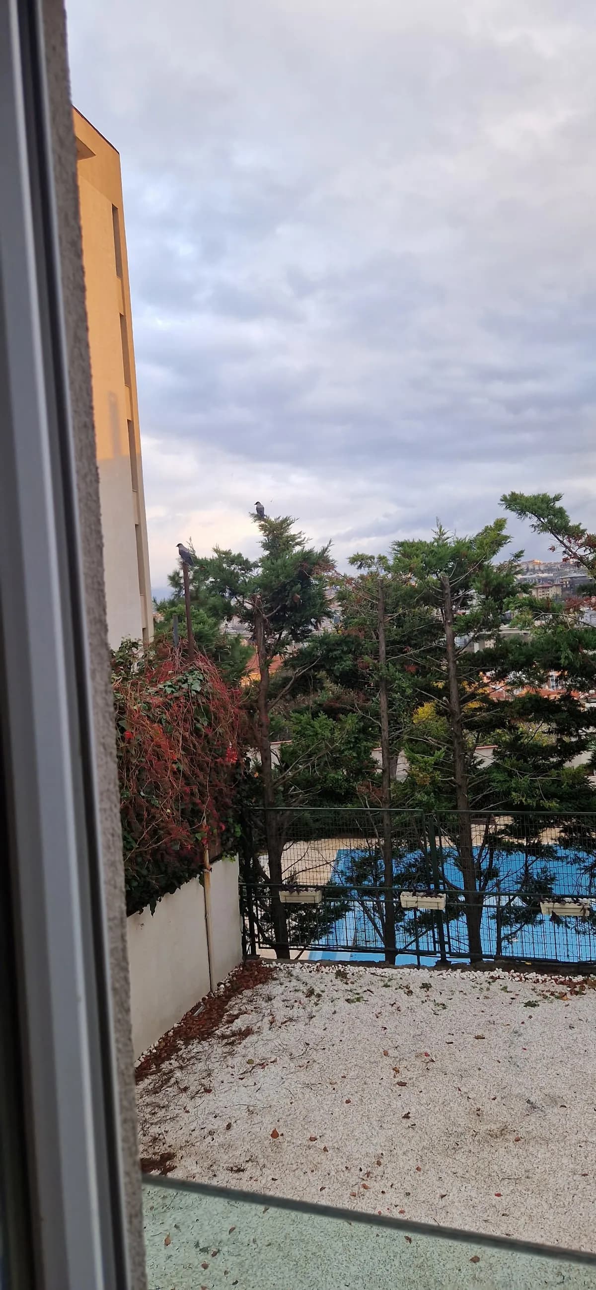Ortaköy Bellezza Hotel - photo 5