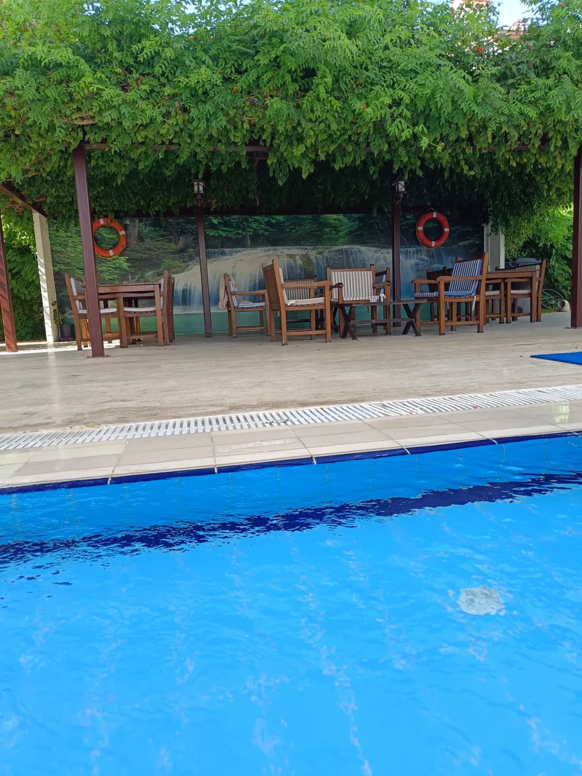 Golden Orange Hotel - photo 3